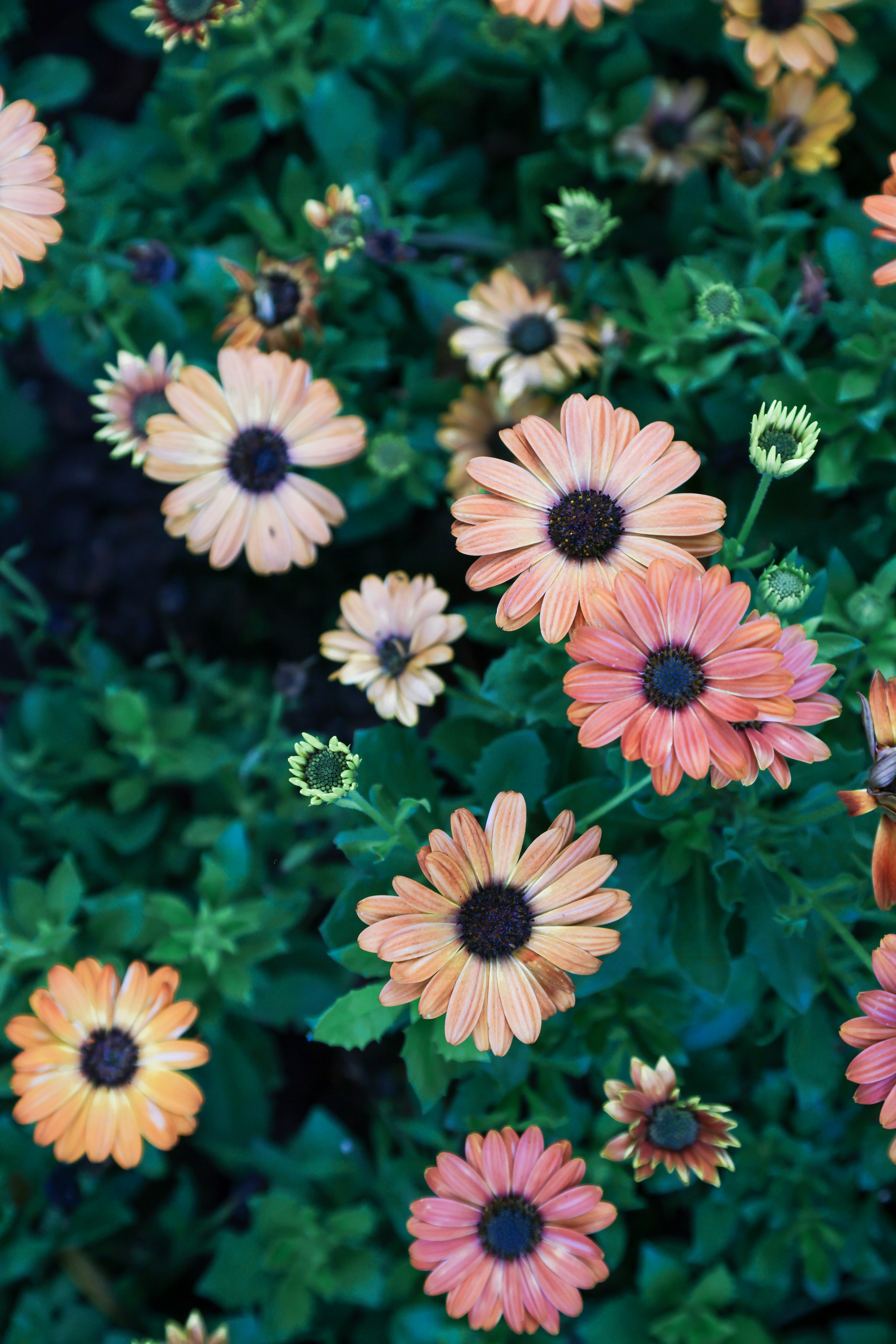 Photo by dickenslin76