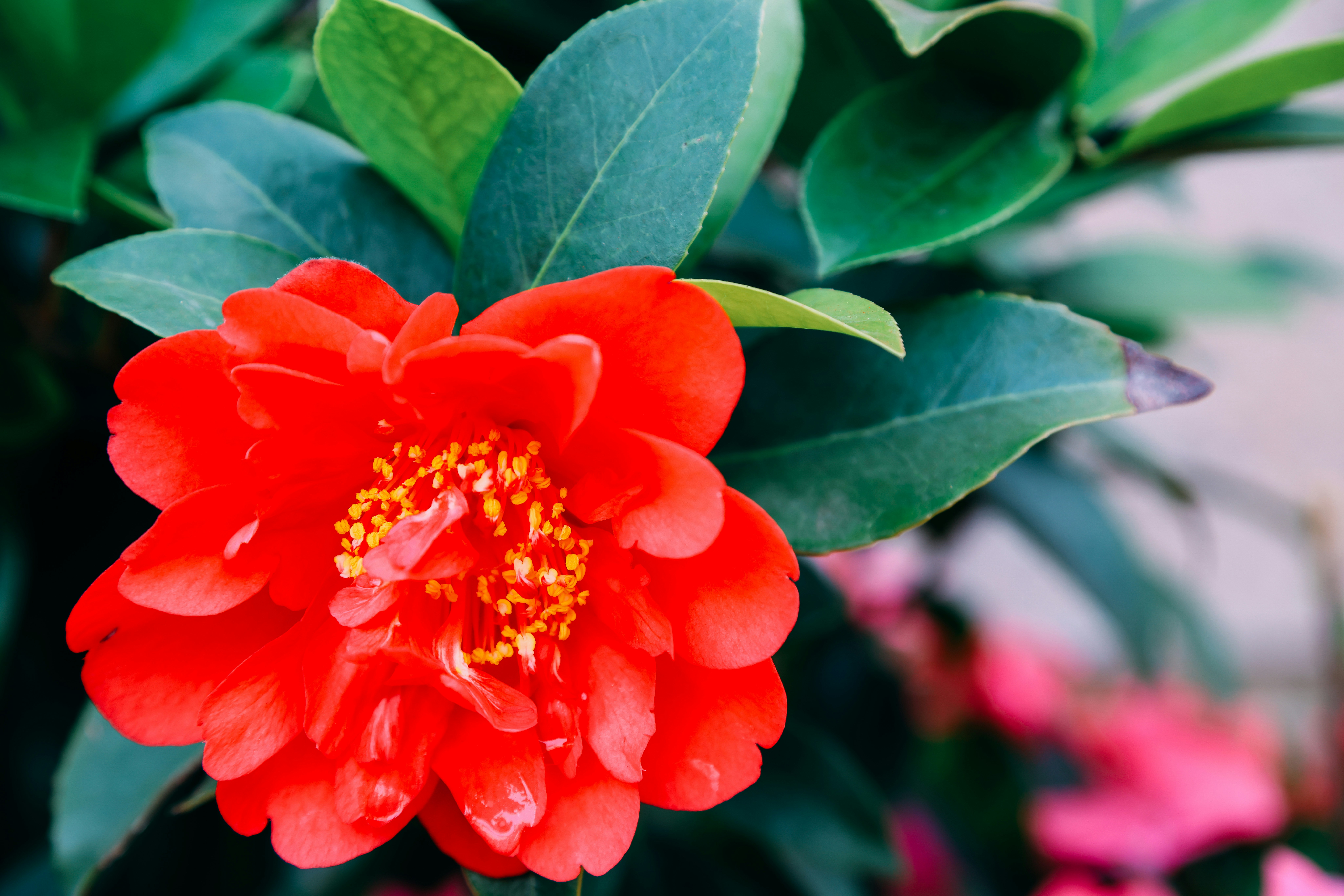 Photo by dickenslin76