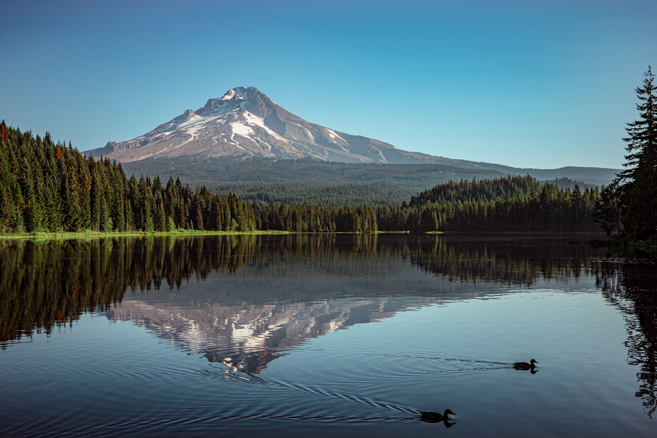 Mountain landscape