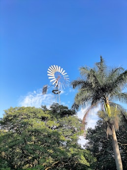 A vibrant windmill turning gently against a clear blue sky, surrounded by lush greenery and solar panels.