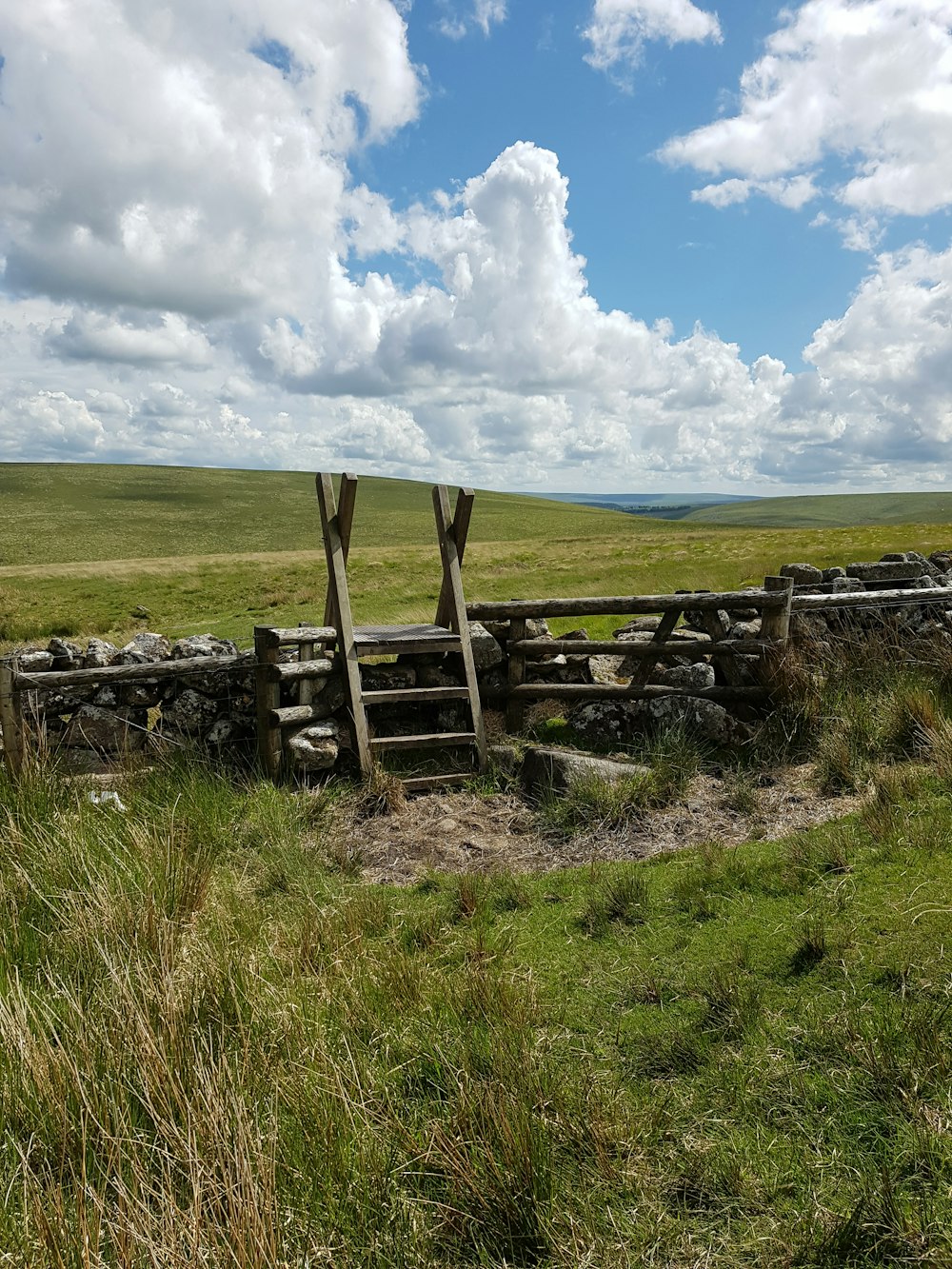 a wooden bench sitting on top of a lush green field