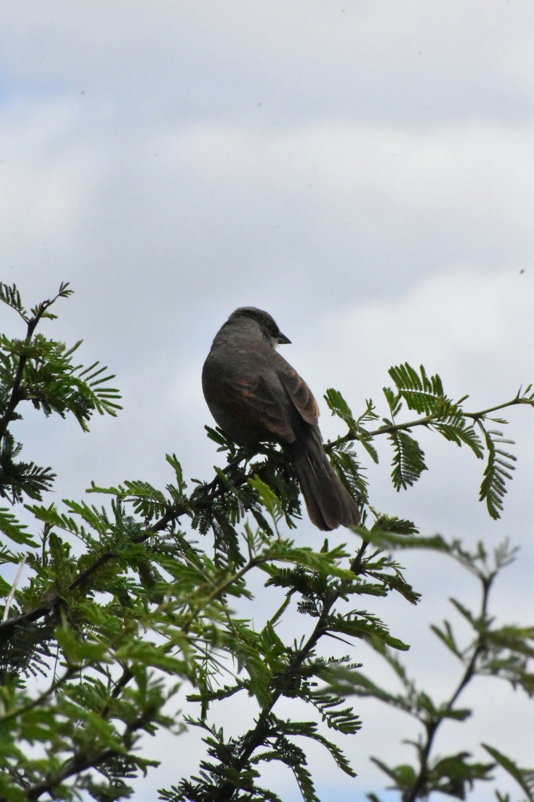 Photo by santiagodeluca