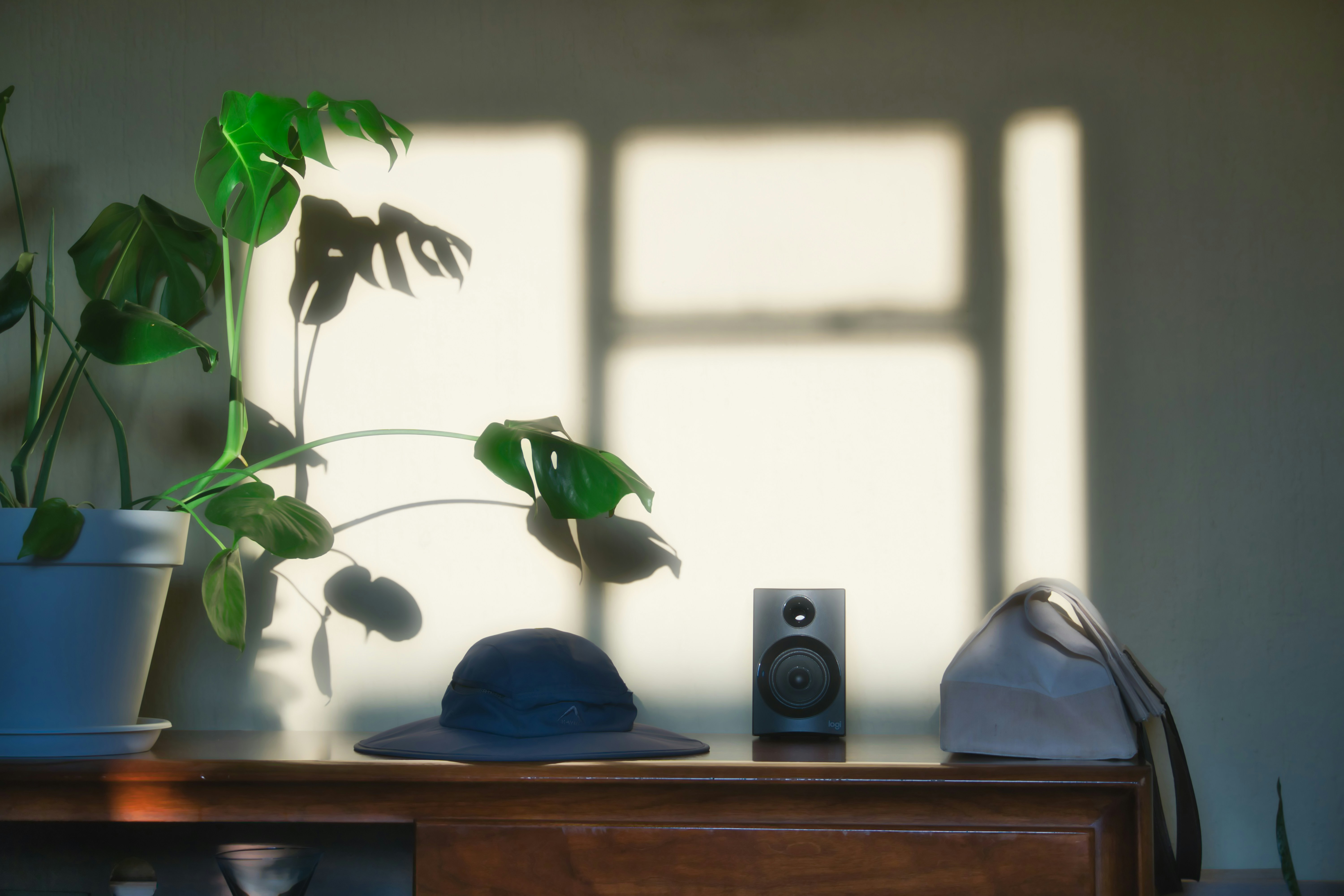 indoor plants aesthetic, wallpaper, Bisnis Tanaman Hias: Peluang, Tips, dan Strategi Sukses 6