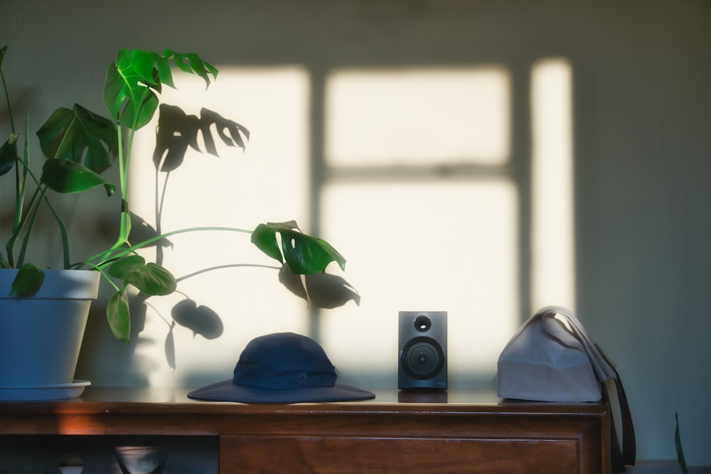 a desk with a plant and a speaker on it