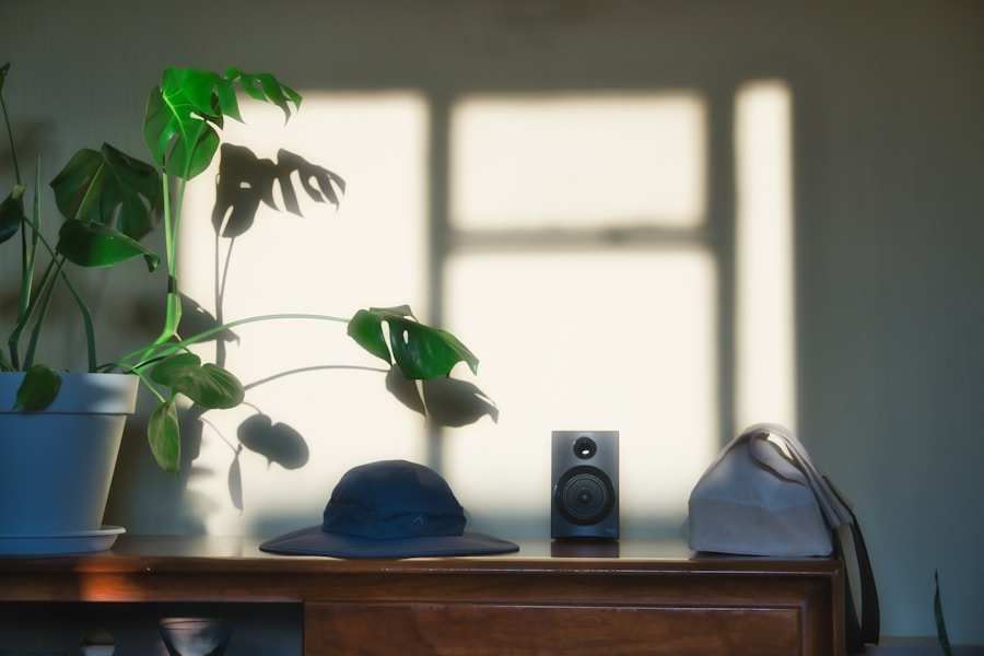 Gadgets and Collectibles