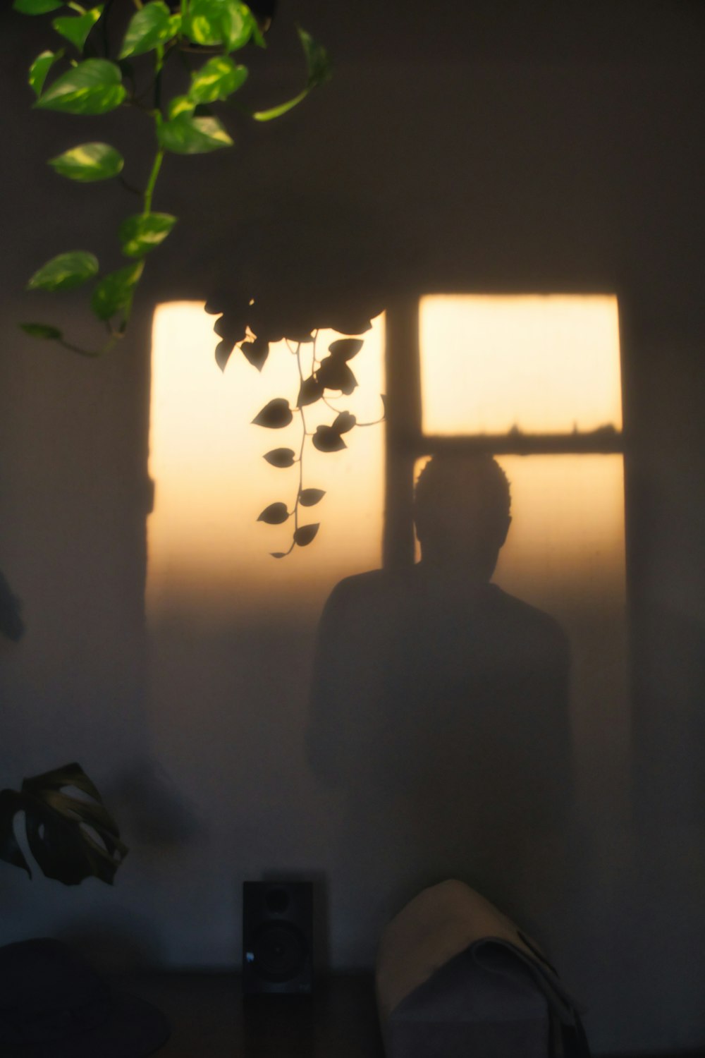 a person standing in front of a window