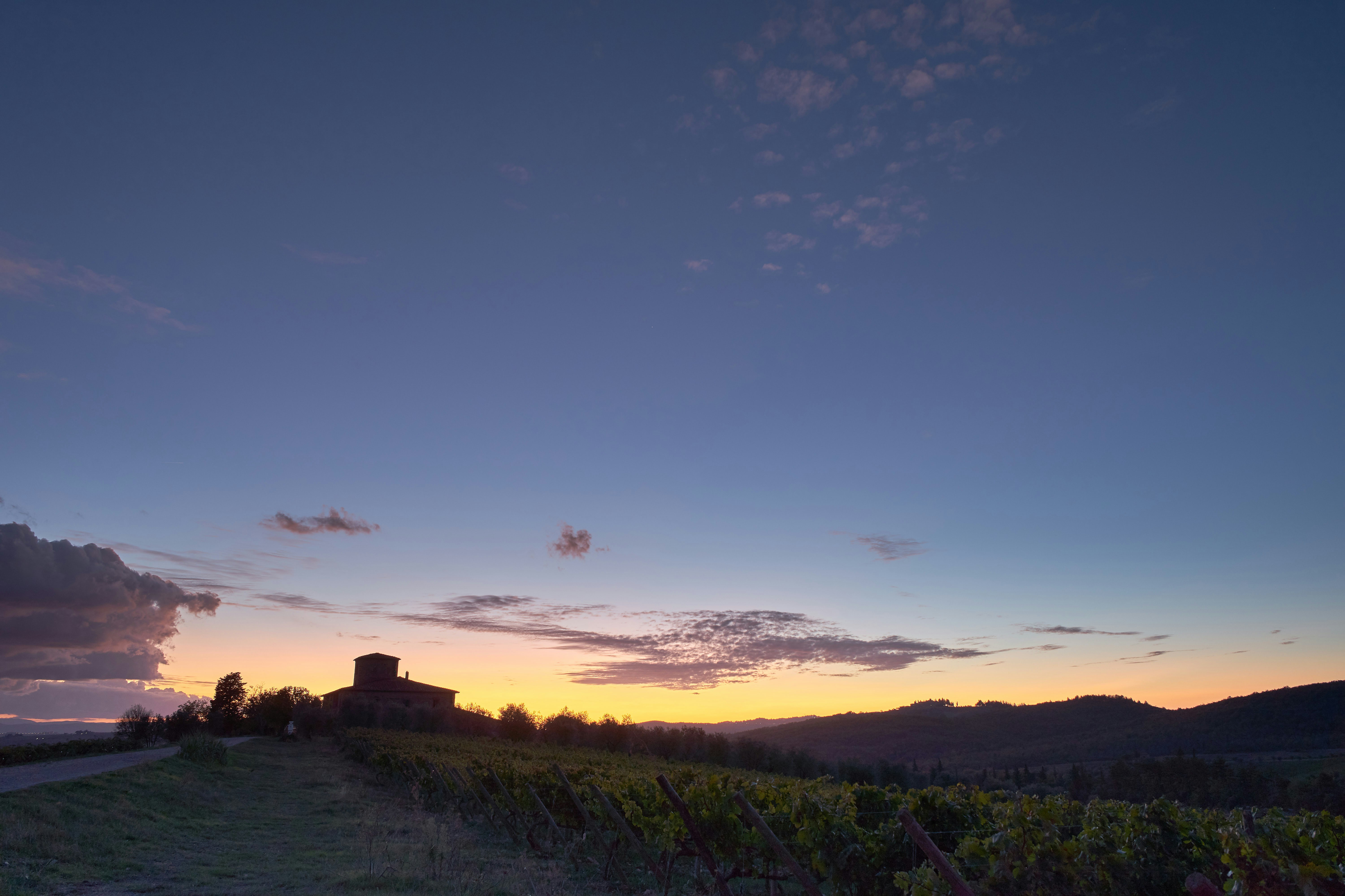 terraced Douro Valley vineyards at sunset - best wine vacations in the world