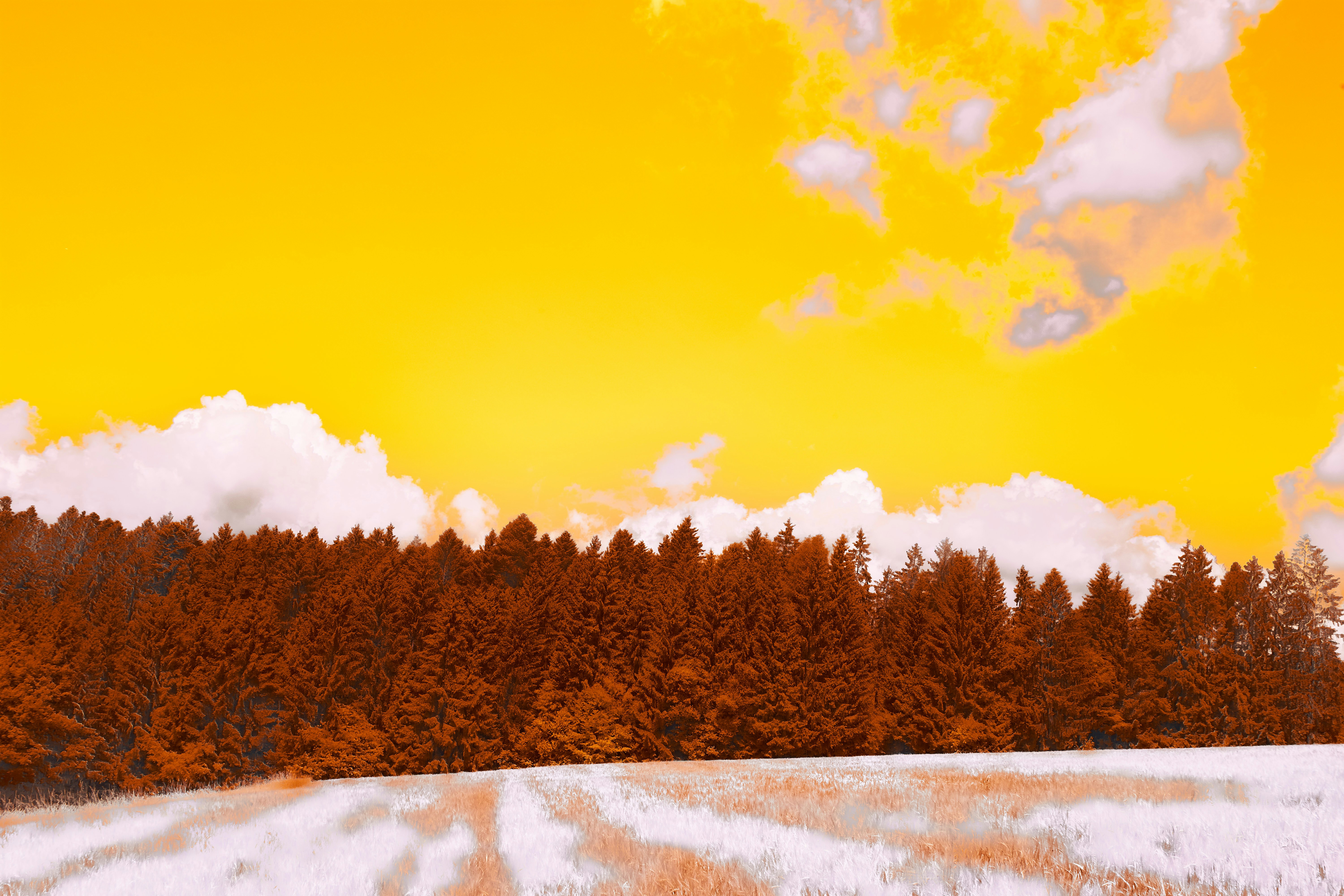 Photo by wolfgang_hasselmann