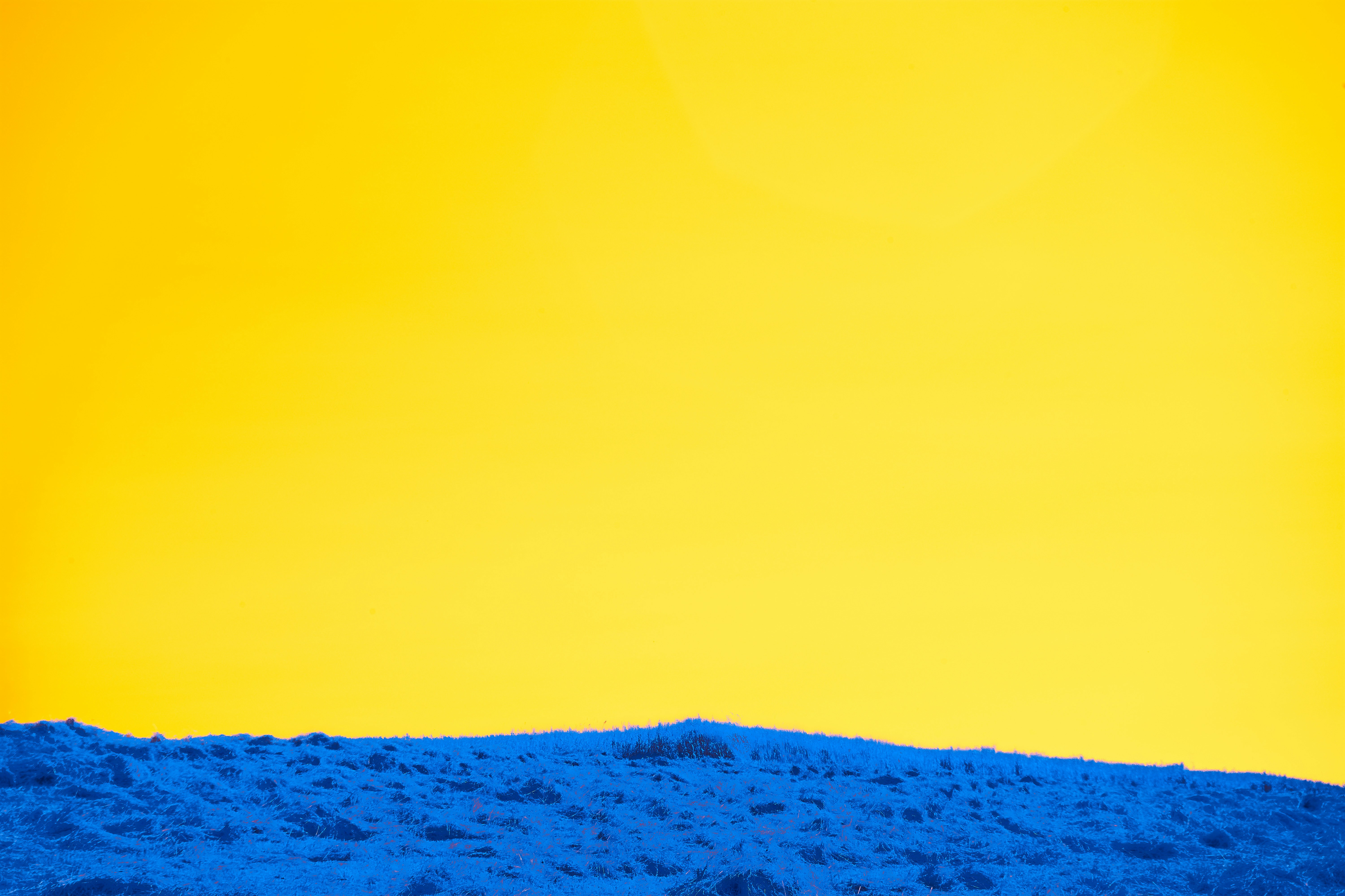 Photo by wolfgang_hasselmann