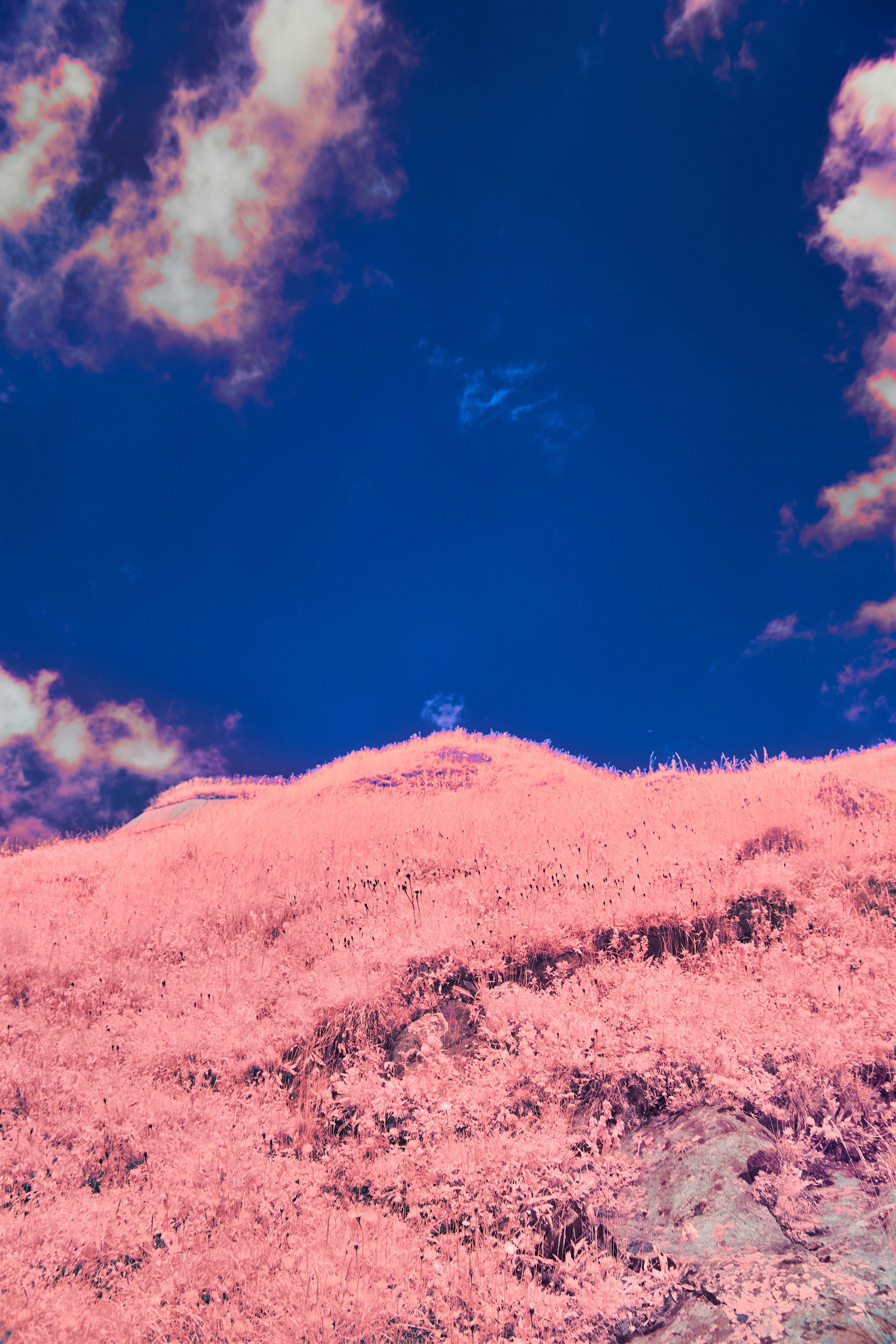 Photo by wolfgang_hasselmann