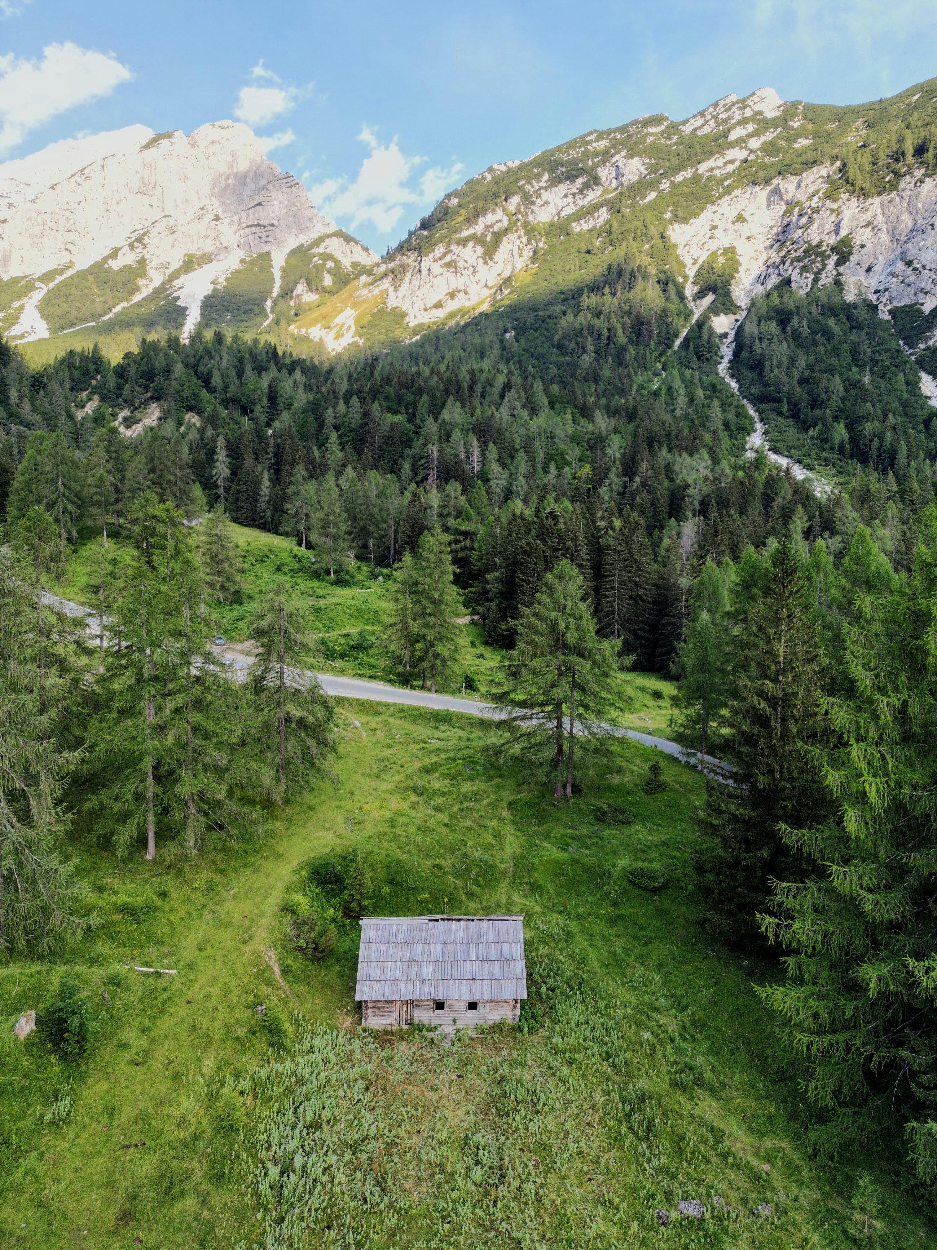 Une Petite Cabane Au Milieu D Une Forêt Photo Photo Cabine Gratuite