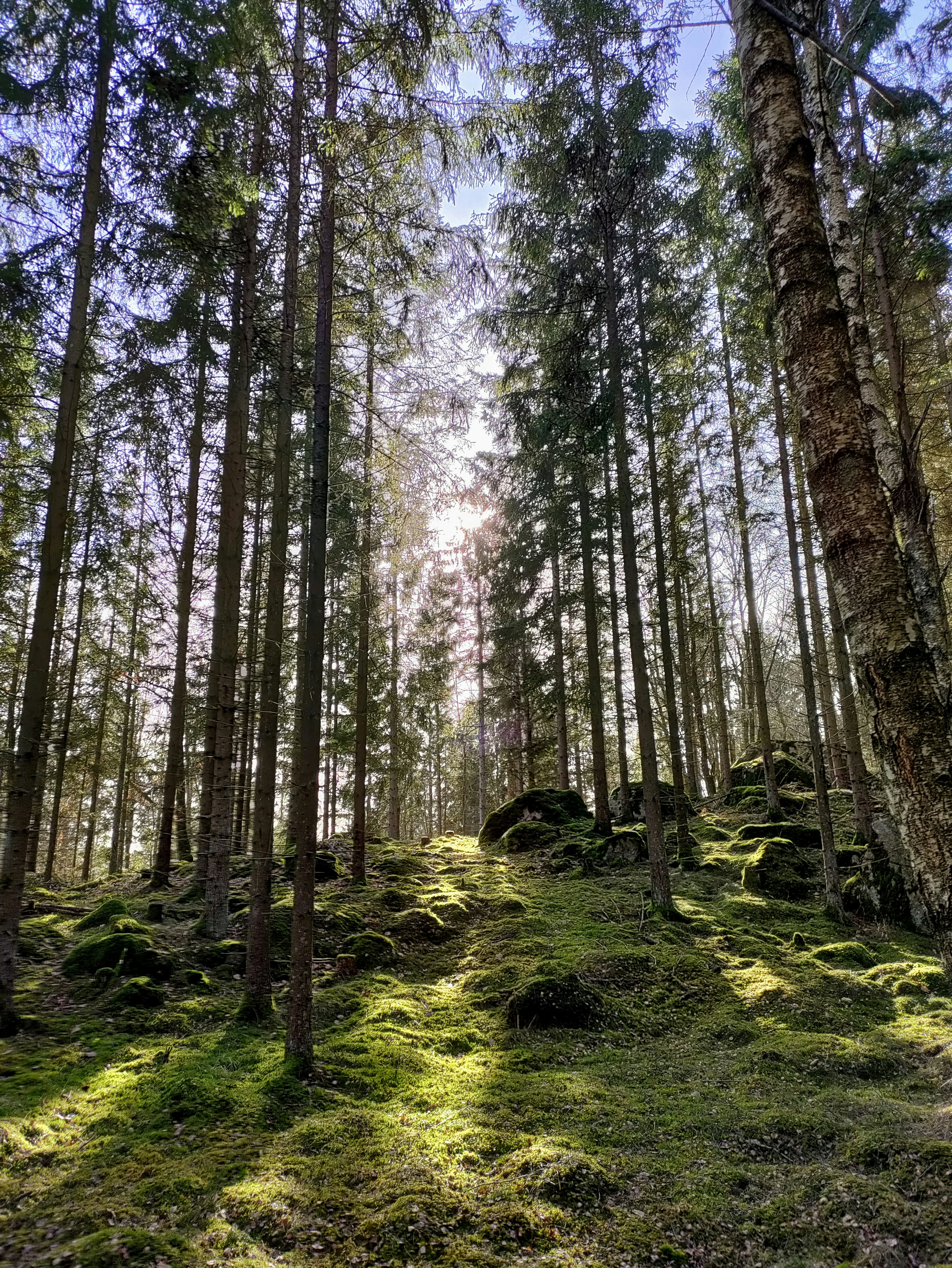 Photo by danieldiemer