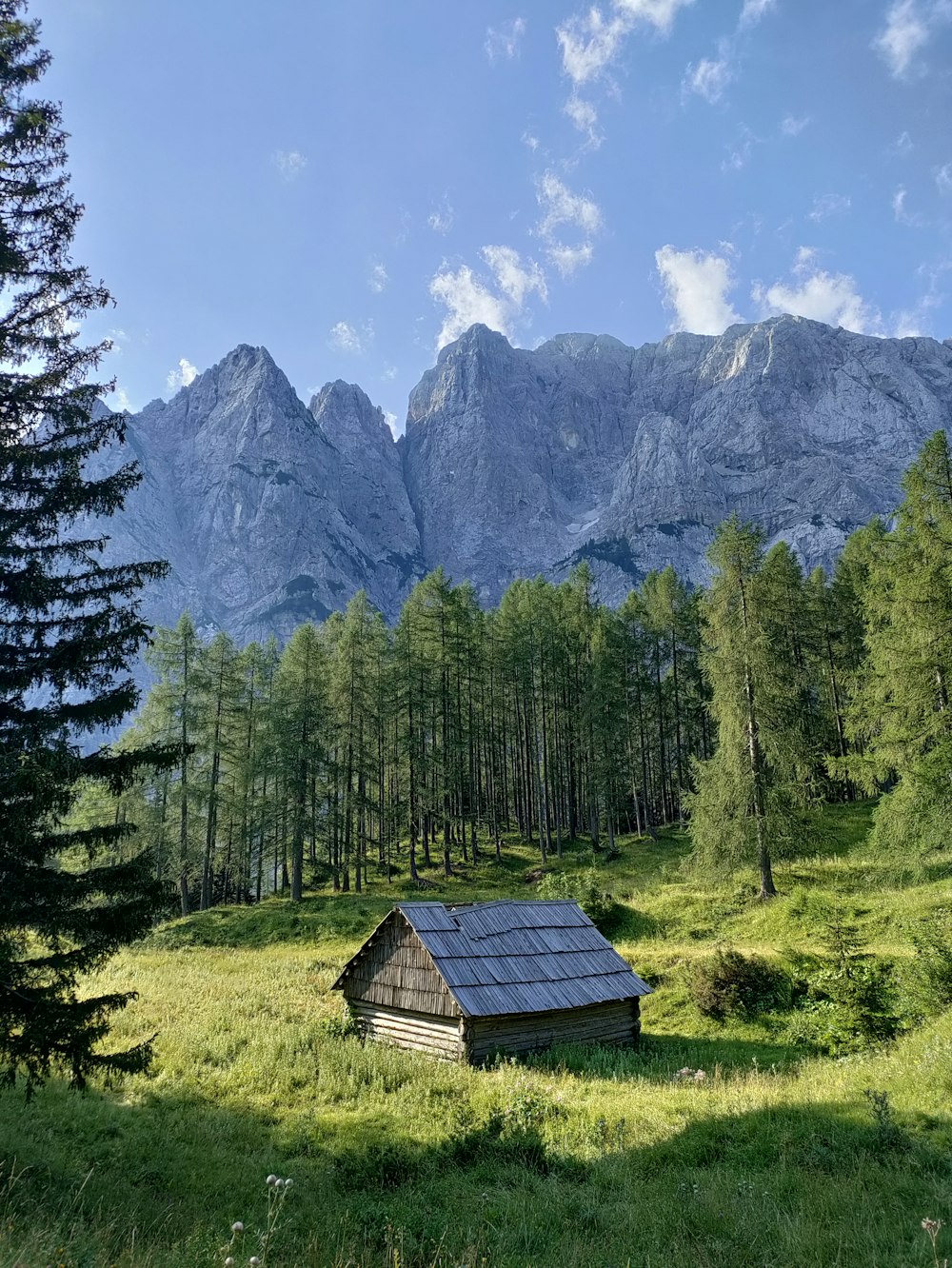 a small cabin in the middle of a field with mountains in the background