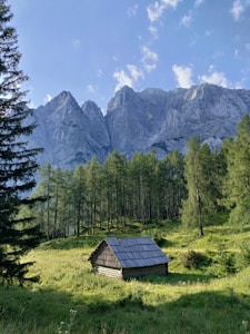 Mountain Cabin