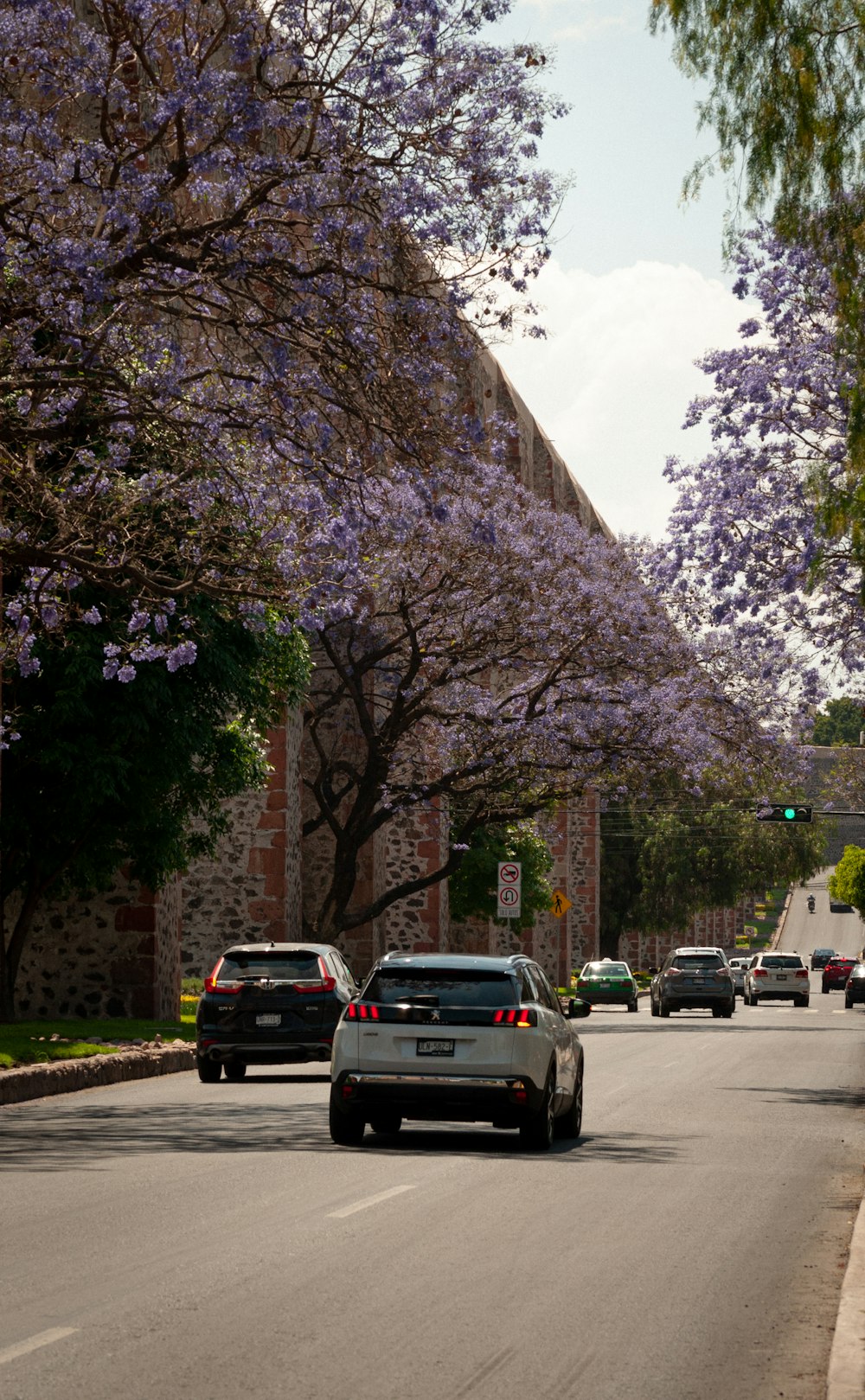 cars are driving down a street lined with trees