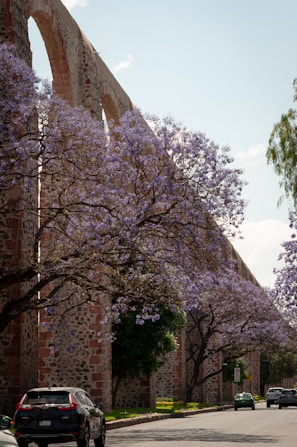 los arcos de queretaro