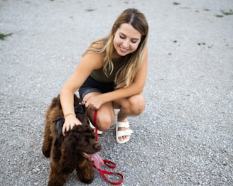 A happy dog and owner enjoying a training session.