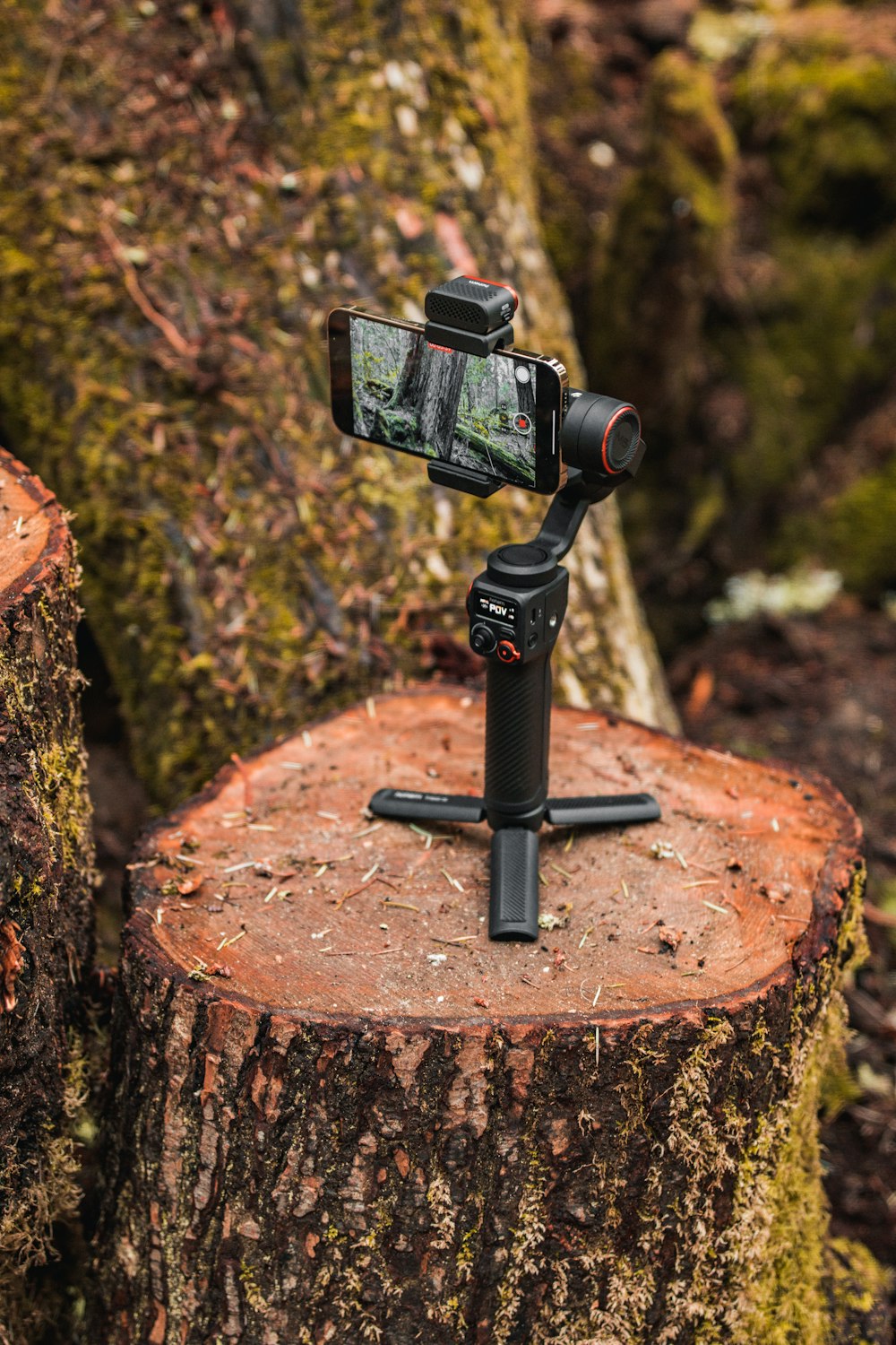a tripod with a camera attached to a tree stump