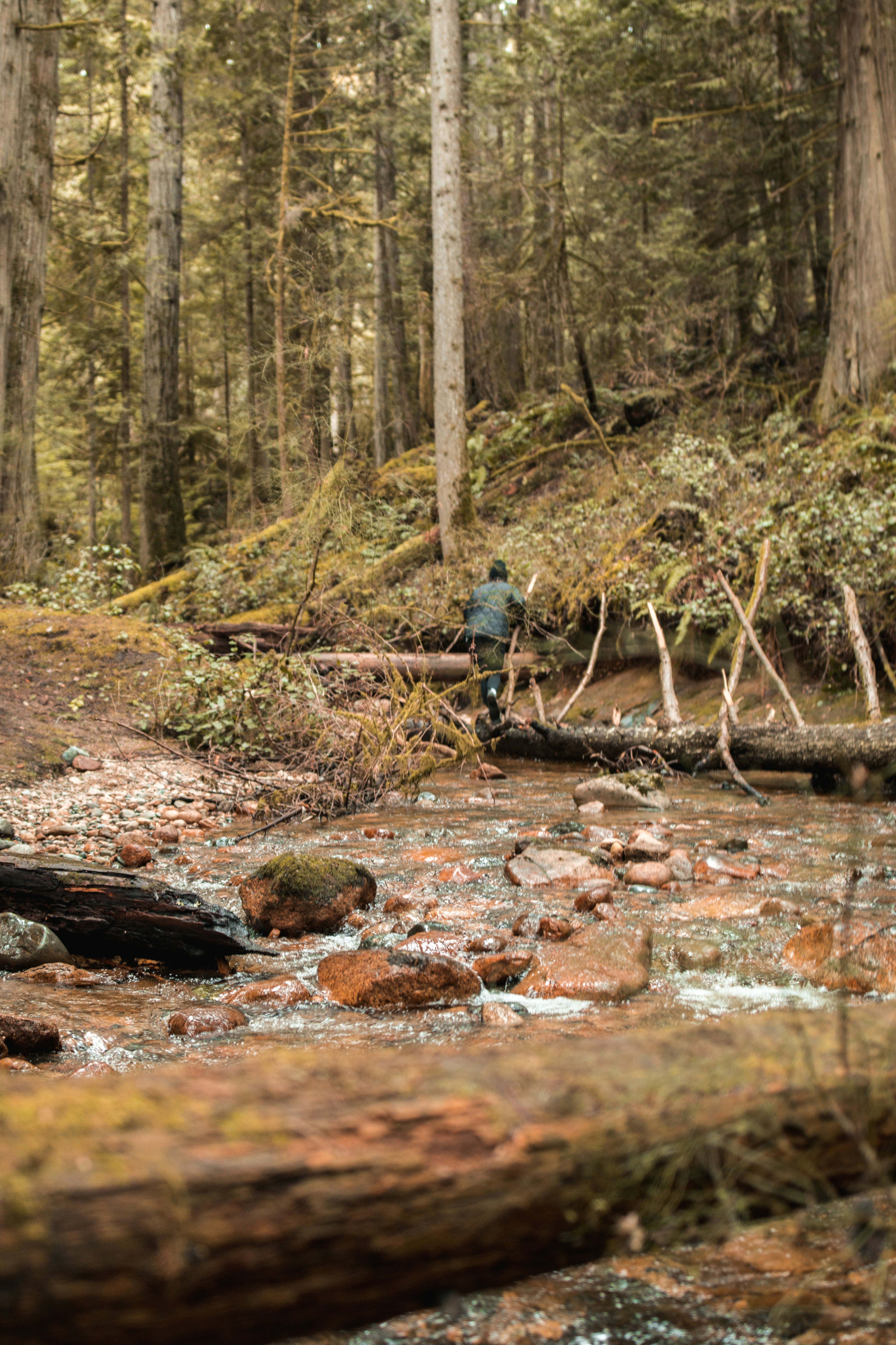 Photo by visualsbyroyalz