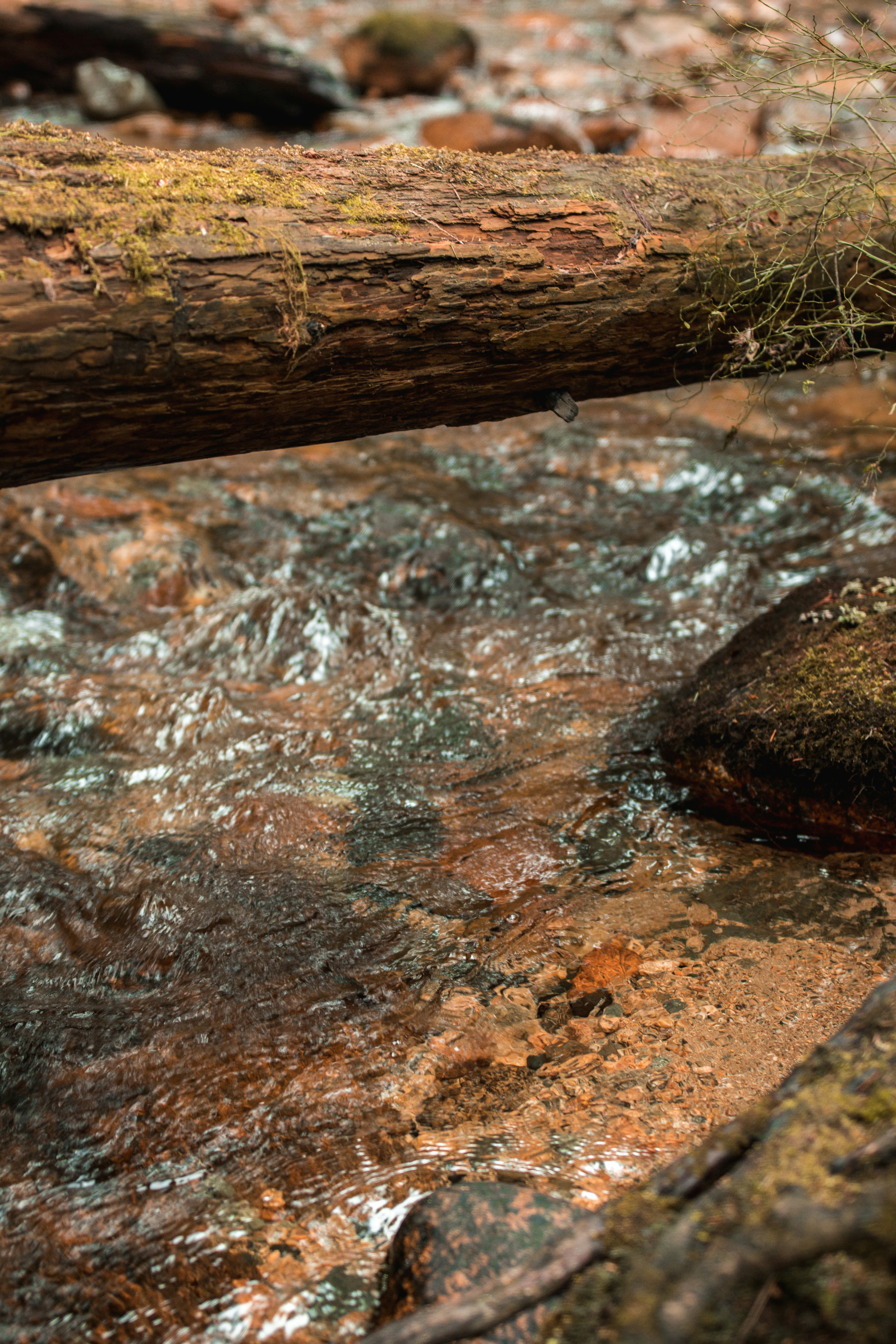 Photo by visualsbyroyalz