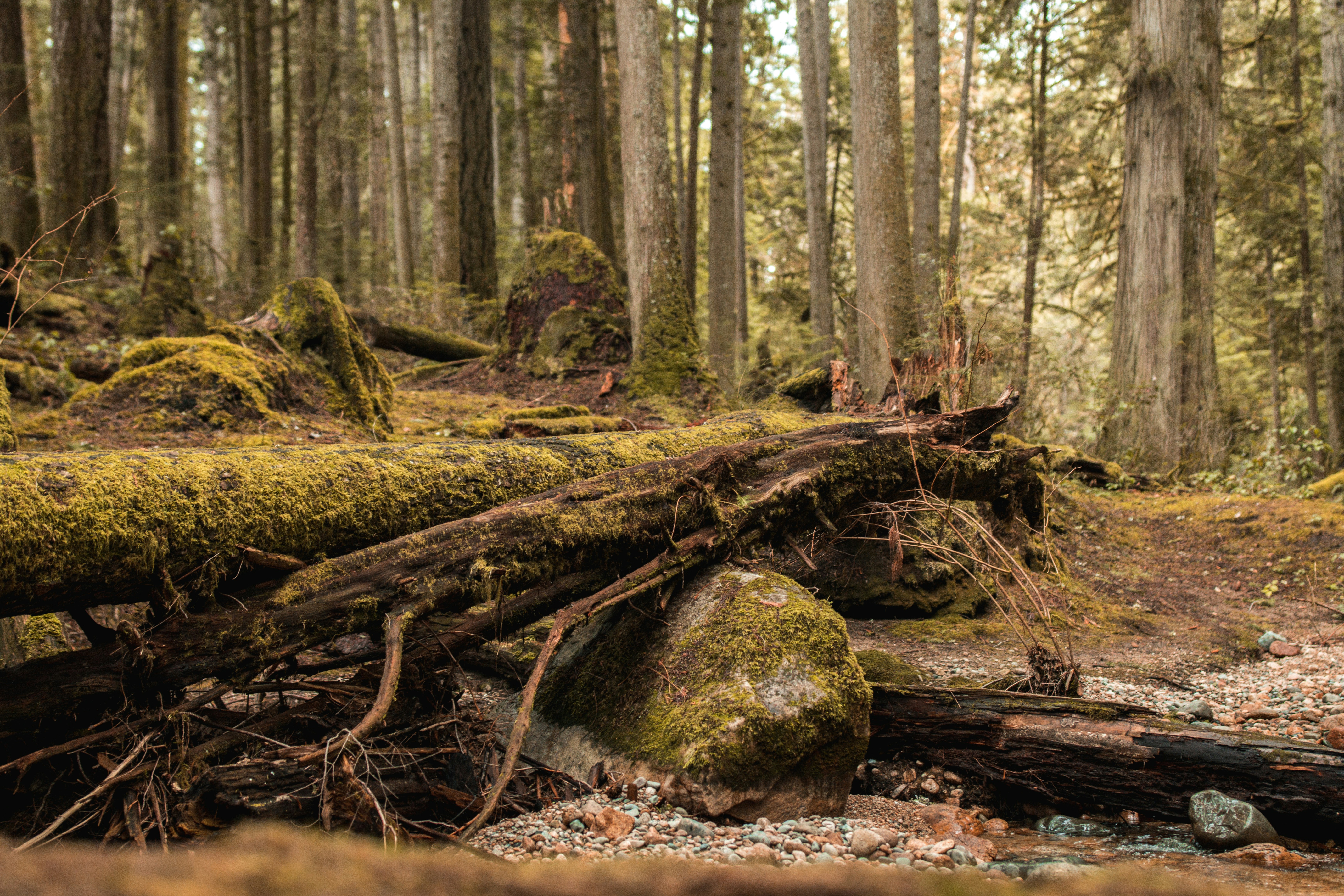 Photo by visualsbyroyalz