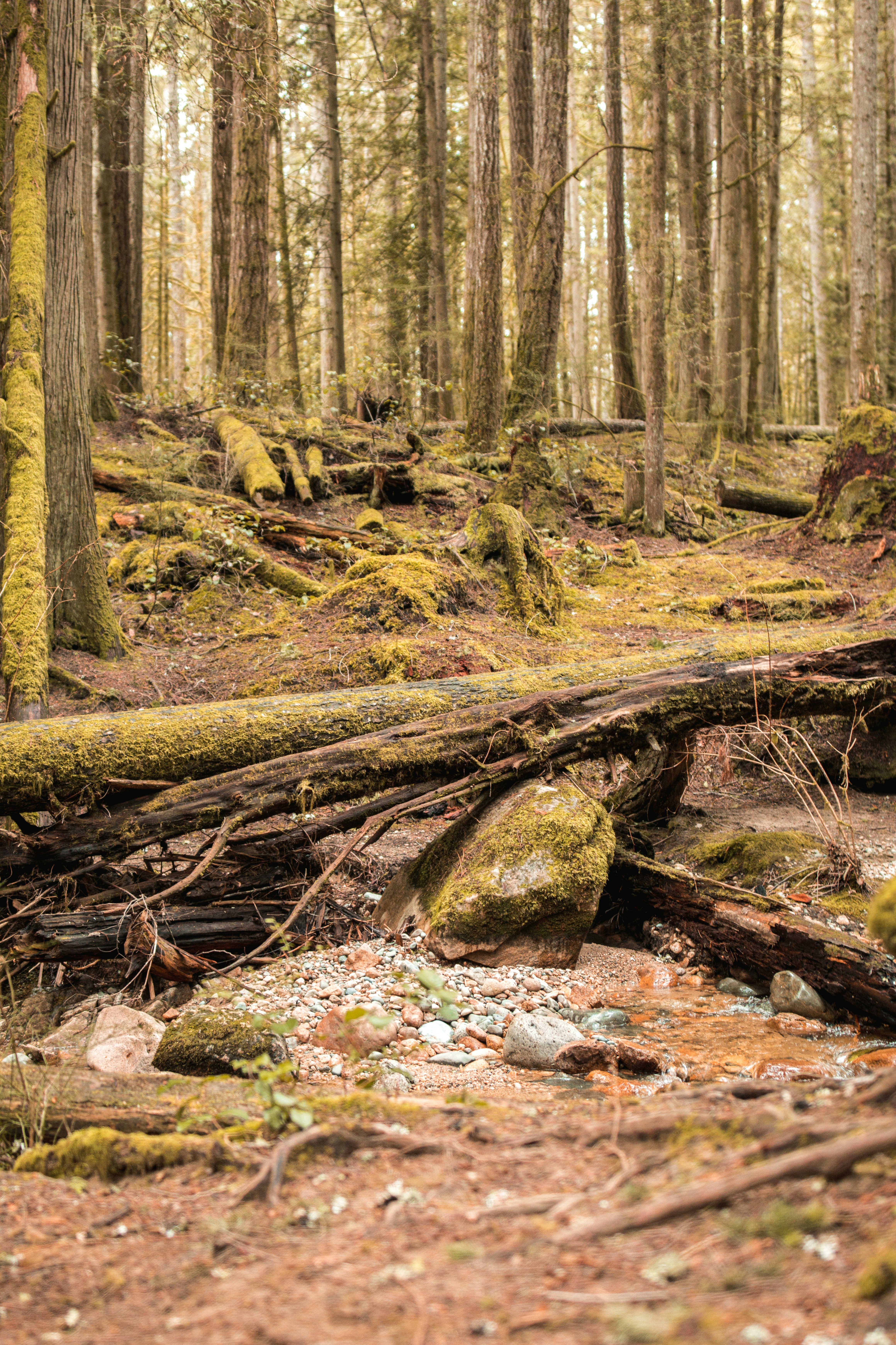 Photo by visualsbyroyalz