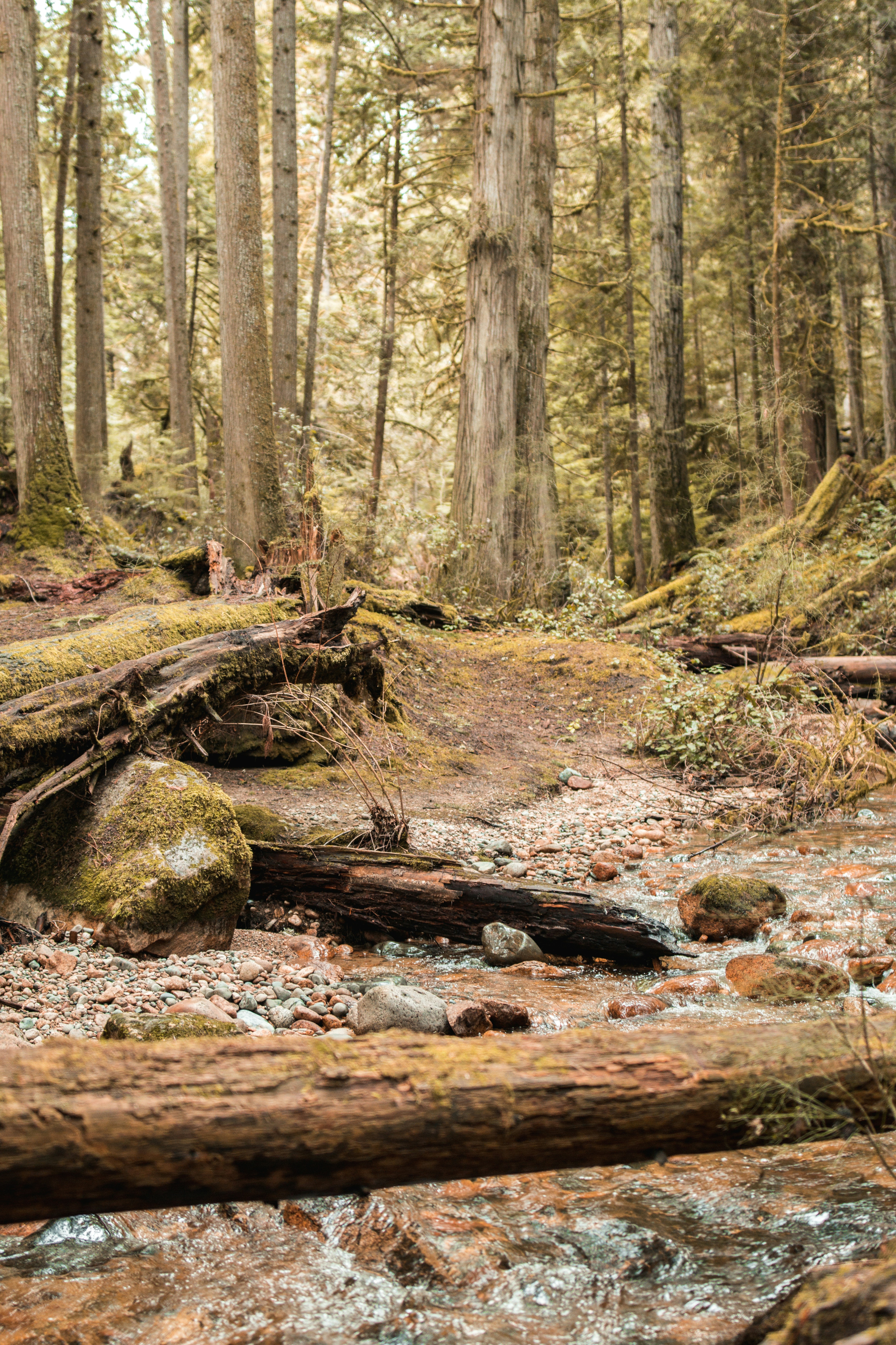 Photo by visualsbyroyalz