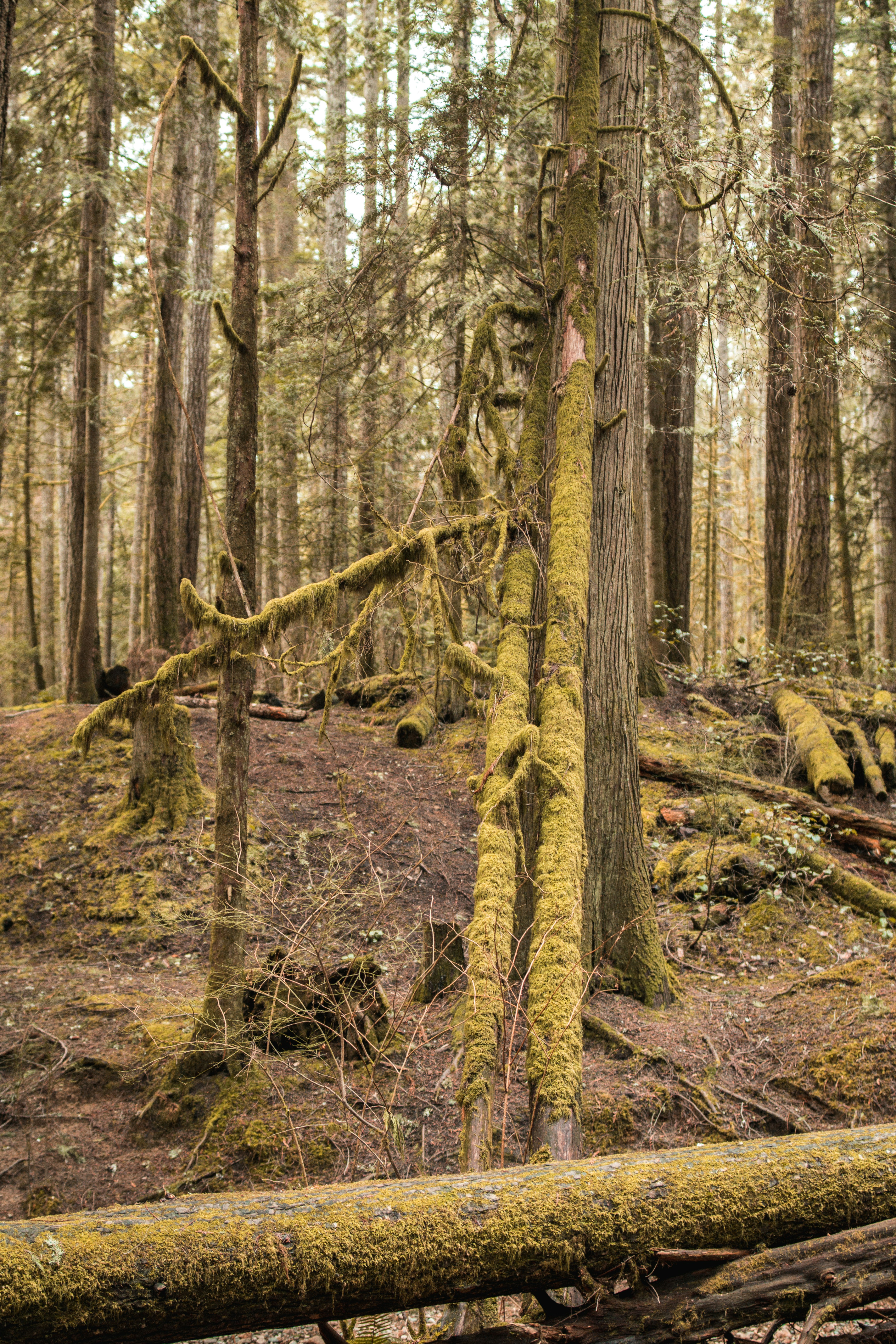 Photo by visualsbyroyalz