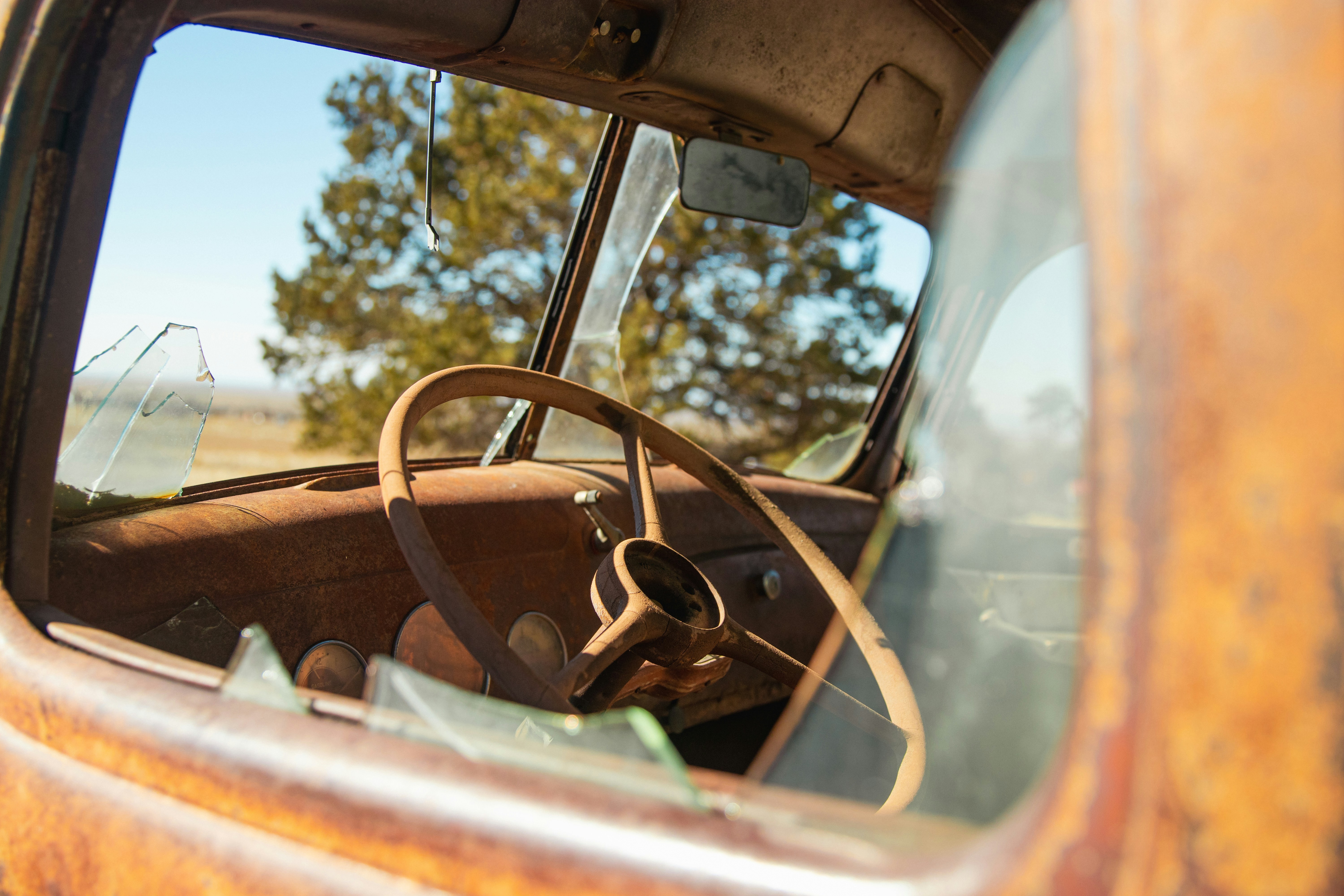 Photo by itsshubhaofficial