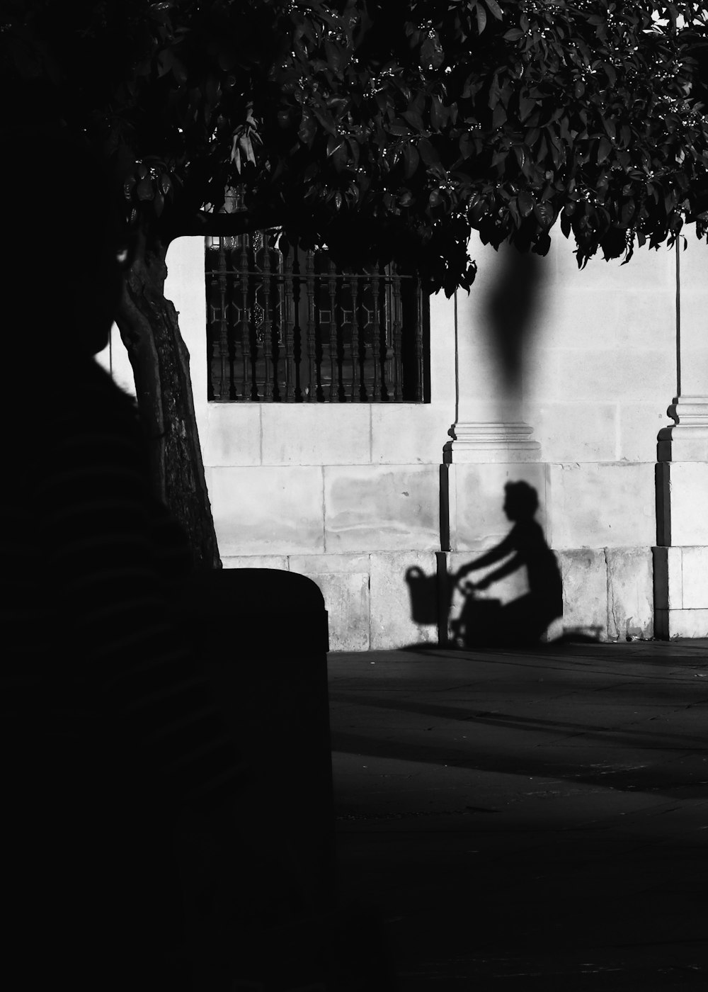 a person sitting on a bench under a tree
