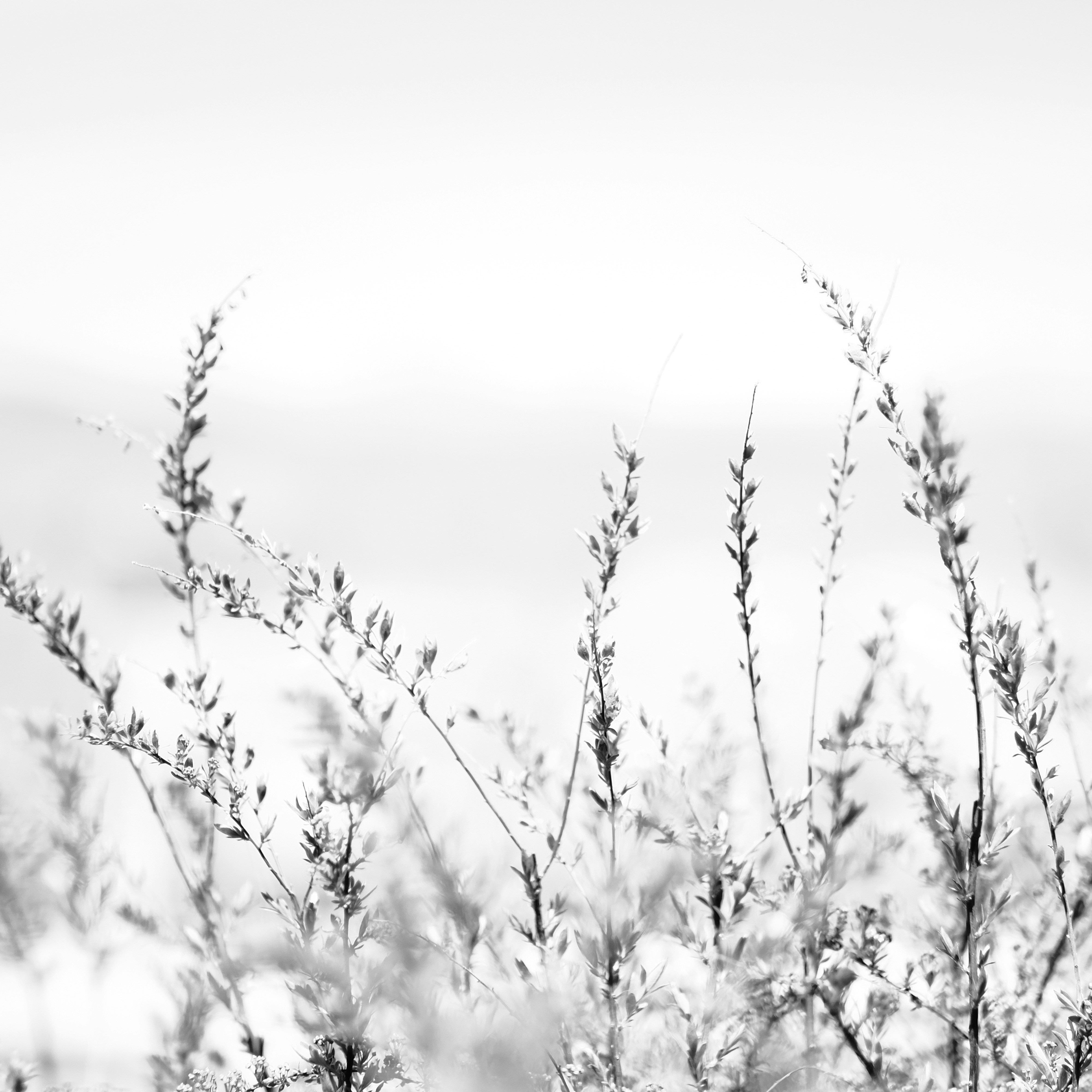 Photo by jamesart7758