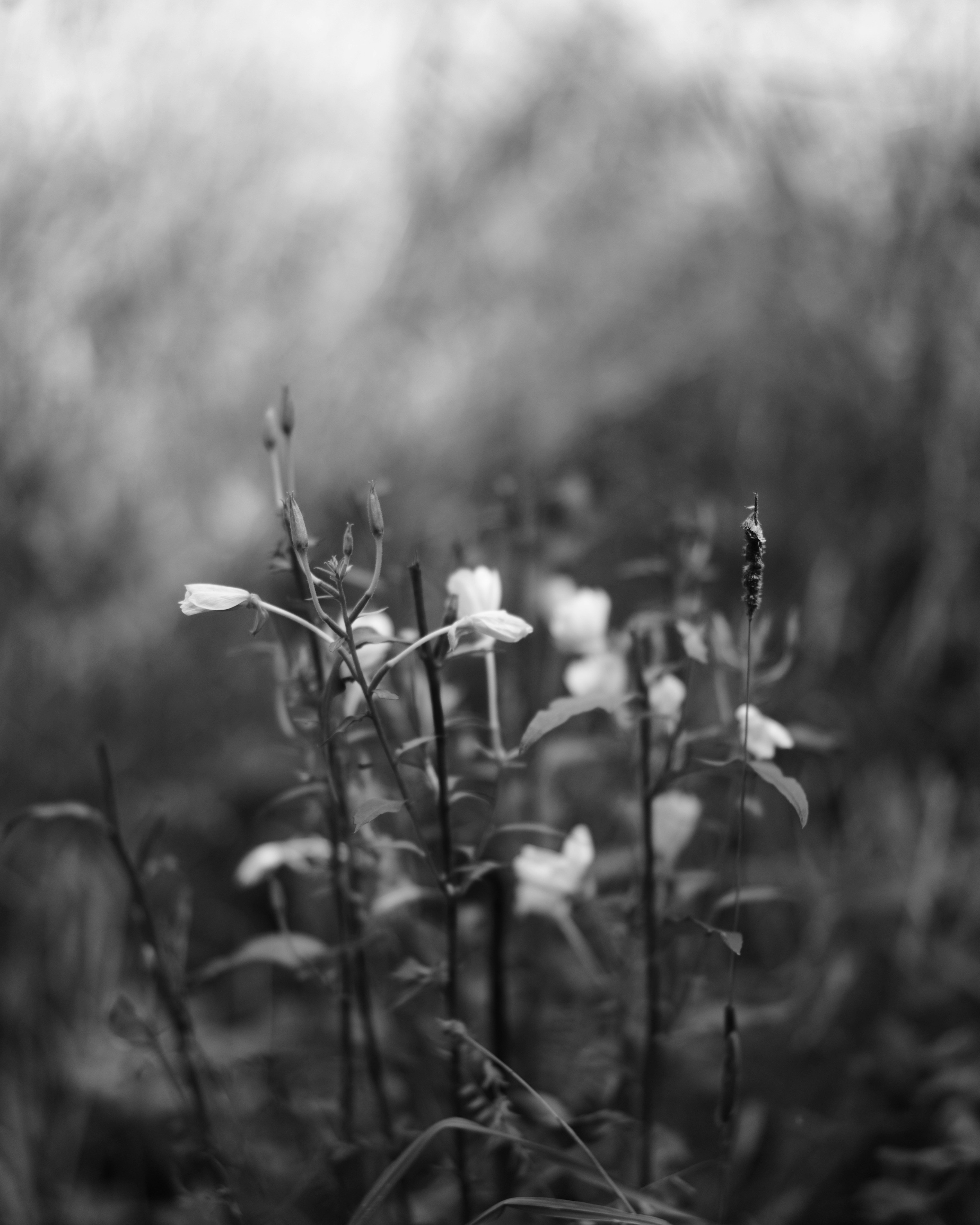 Photo by jamesart7758