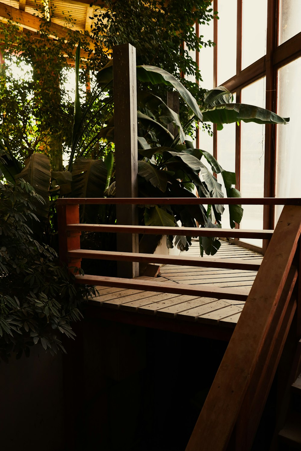 a wooden deck with a plant on top of it