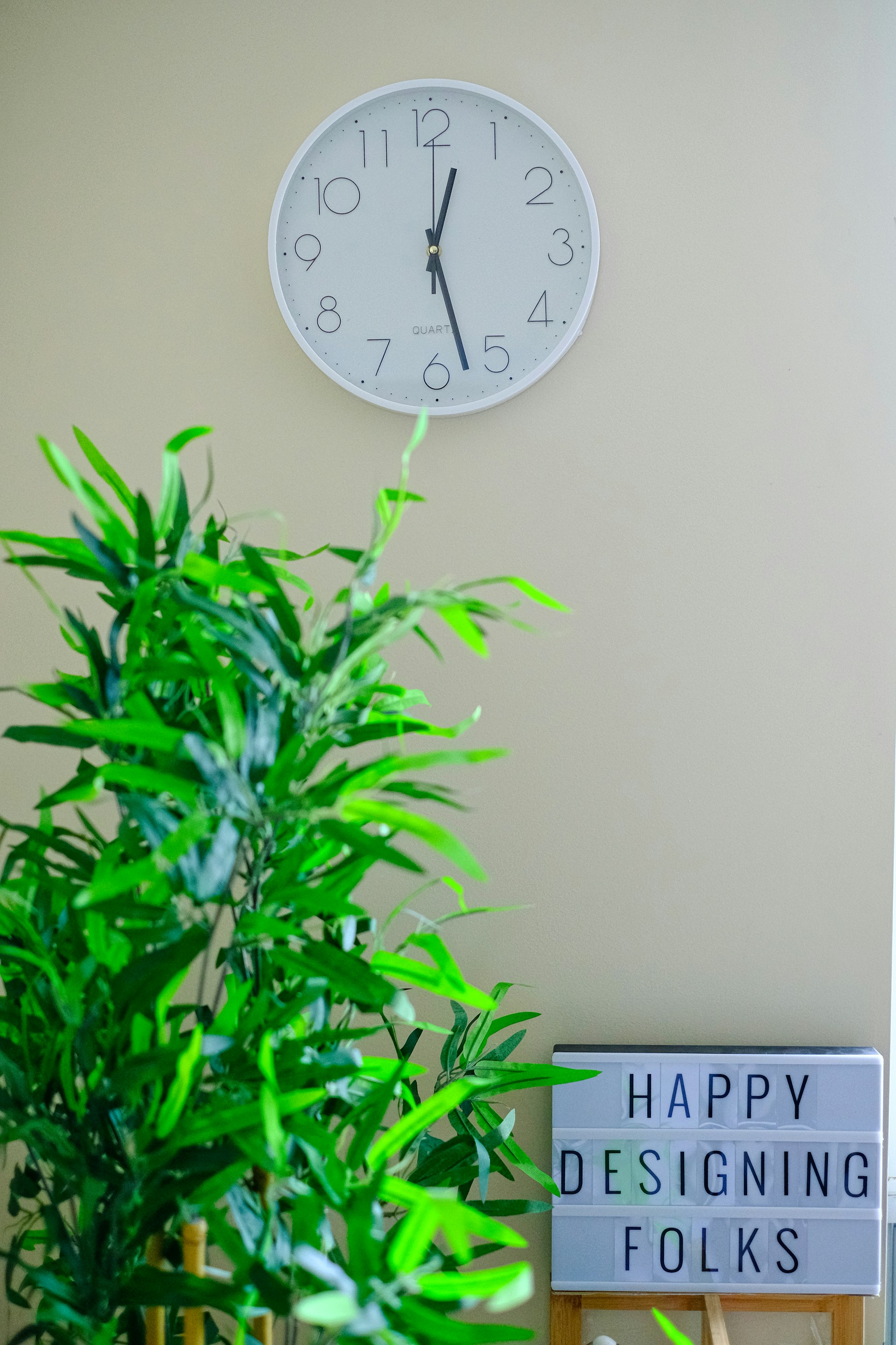 a clock is on the wall above a plant