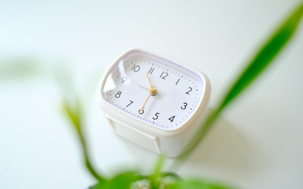 a white clock sitting on top of a green plant