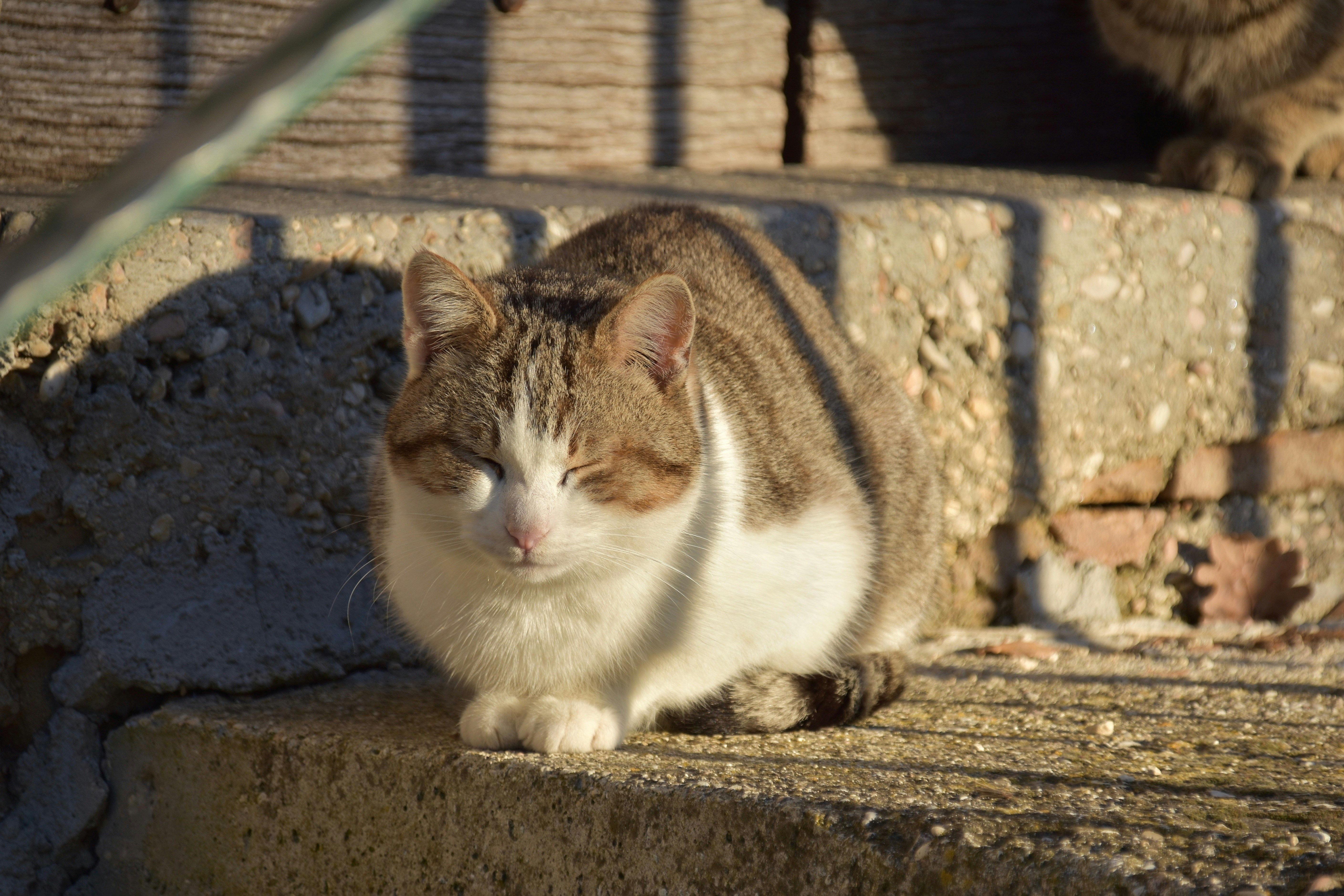 Photo by mariobeducci