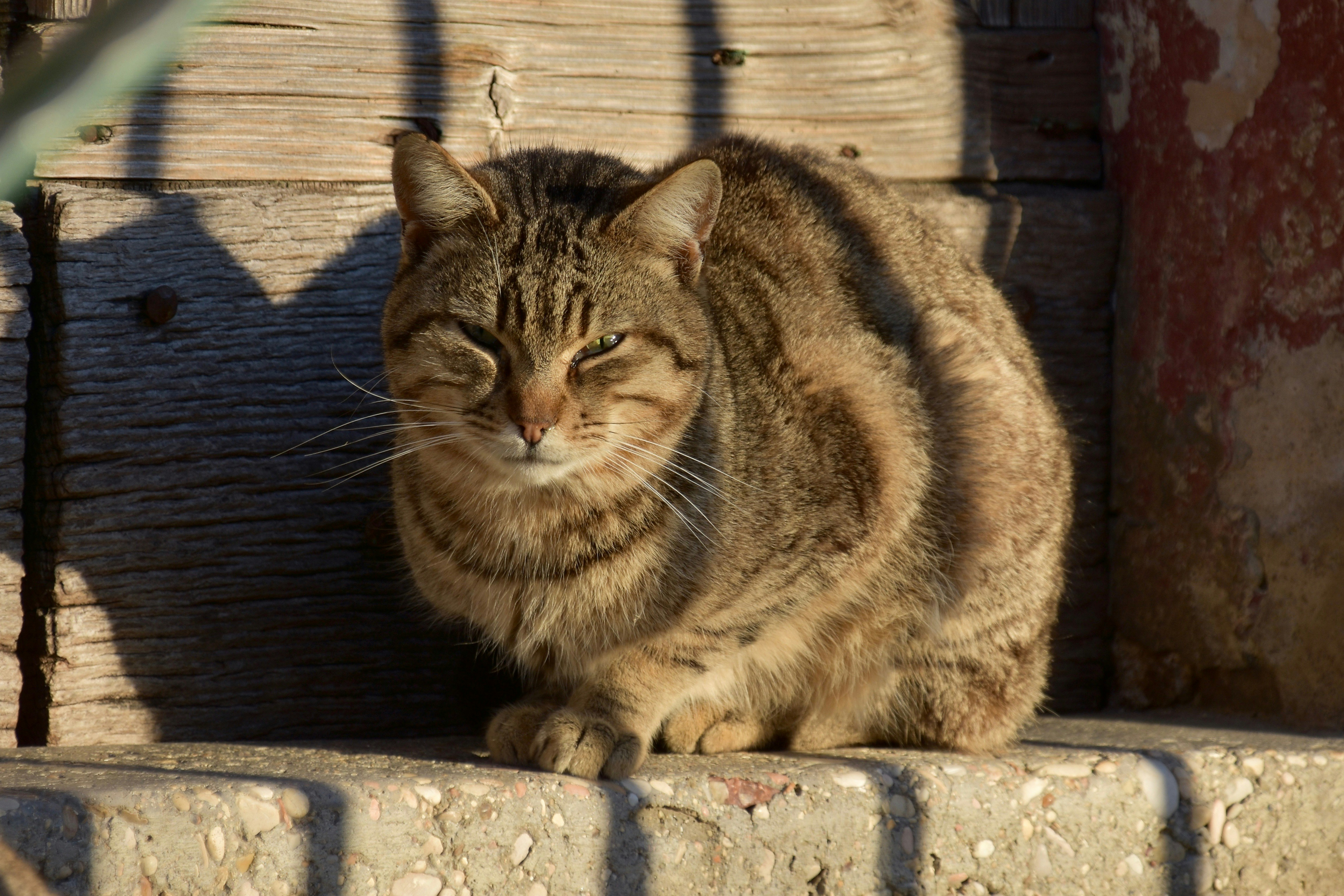 Photo by mariobeducci