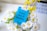 A vibrant arrangement of white daisies with yellow centers and yellow flowers is displayed, with a bright blue card placed among them. The card features bold black text reading 'Every day is payday', accompanied by a small logo in the bottom corner. In the background, there is a blurred white sign with indistinct letters in black.