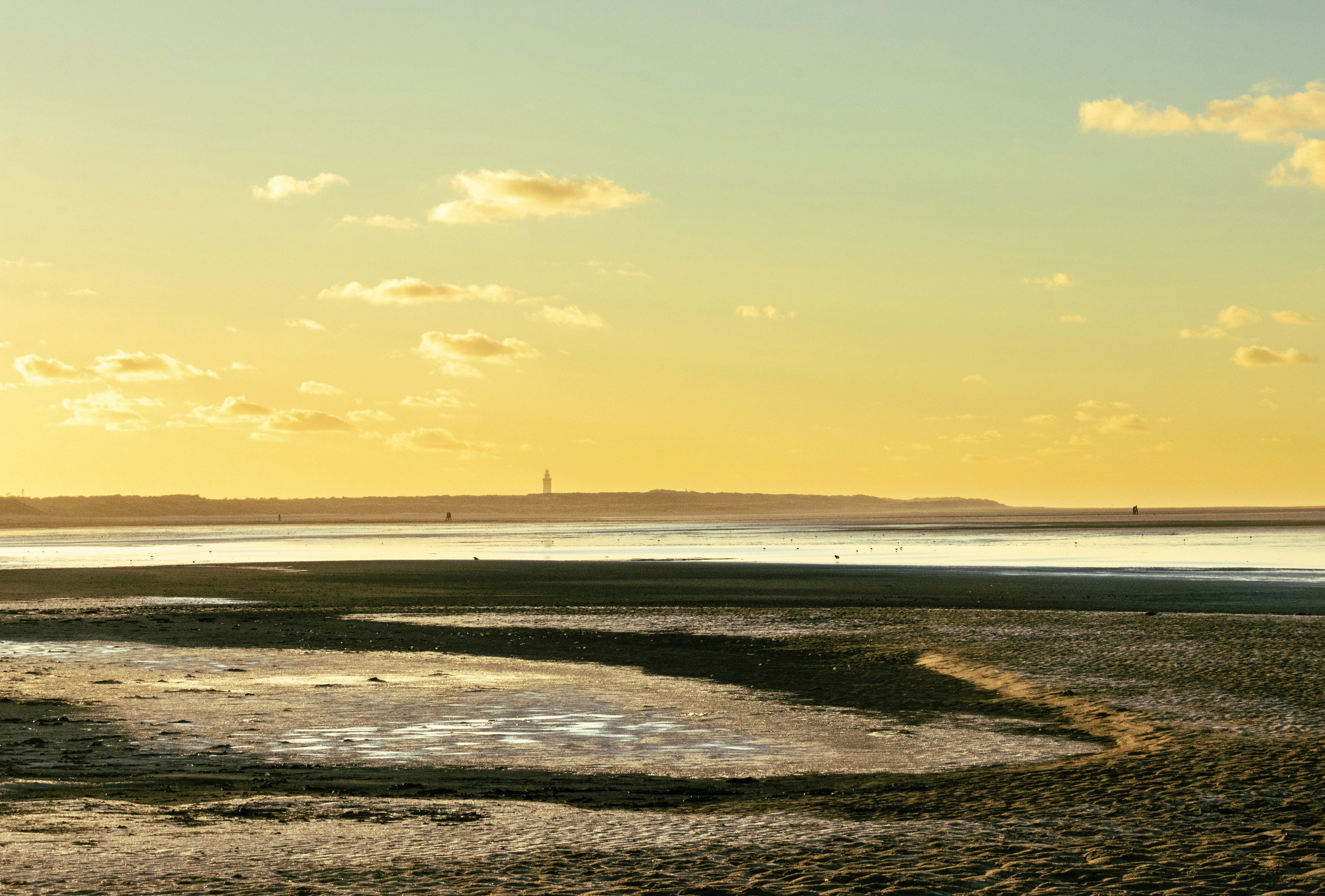 a couple of people riding horses on a beach