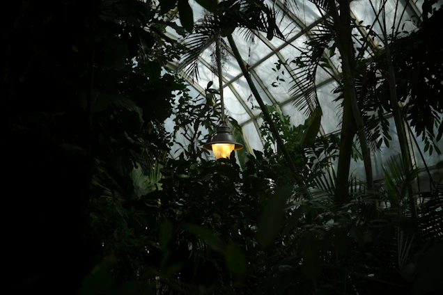 A cozy dark botanical greenhouse corner with lush carnivorous plants glowing softly under amber light.