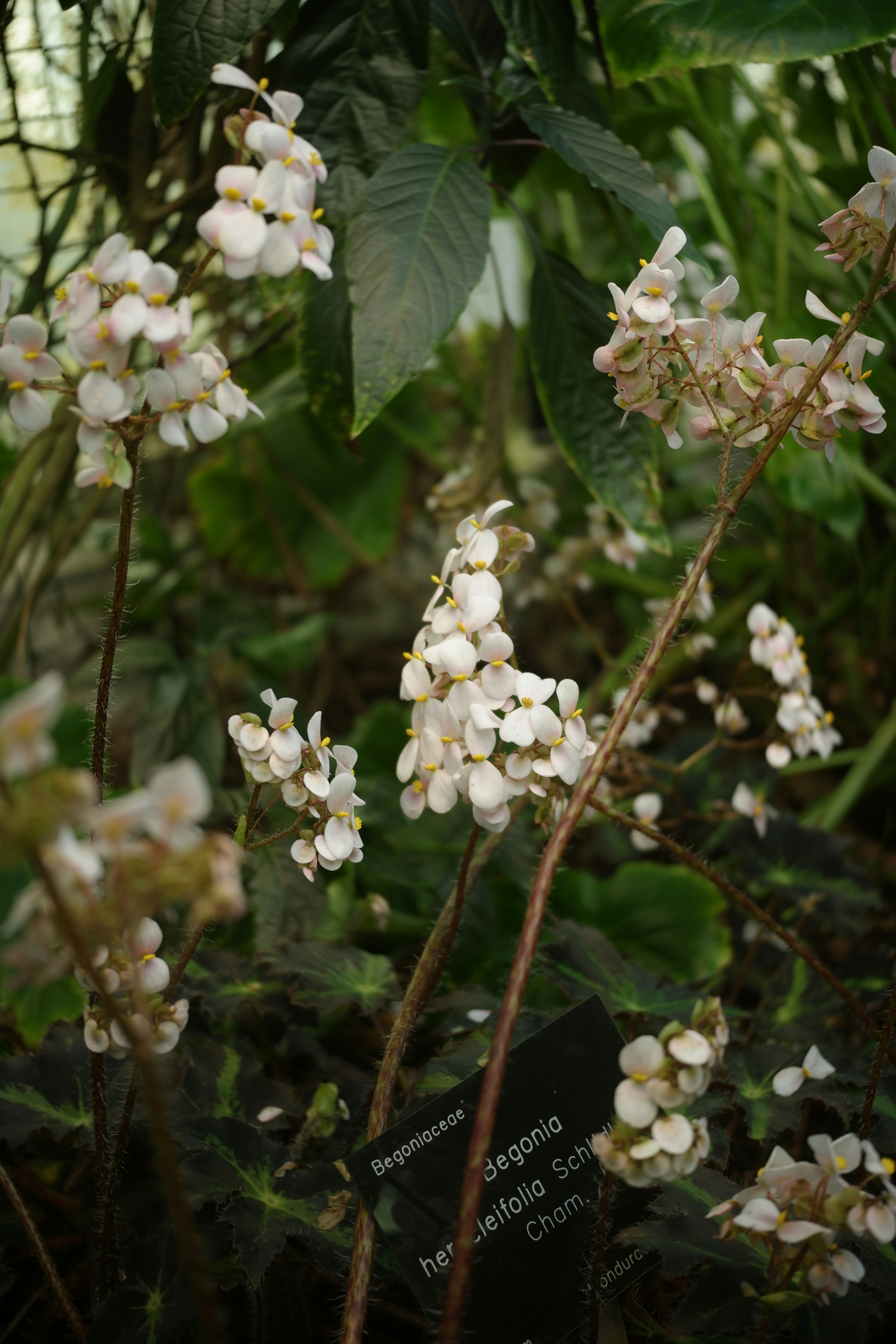 Photo by danielamuntyan