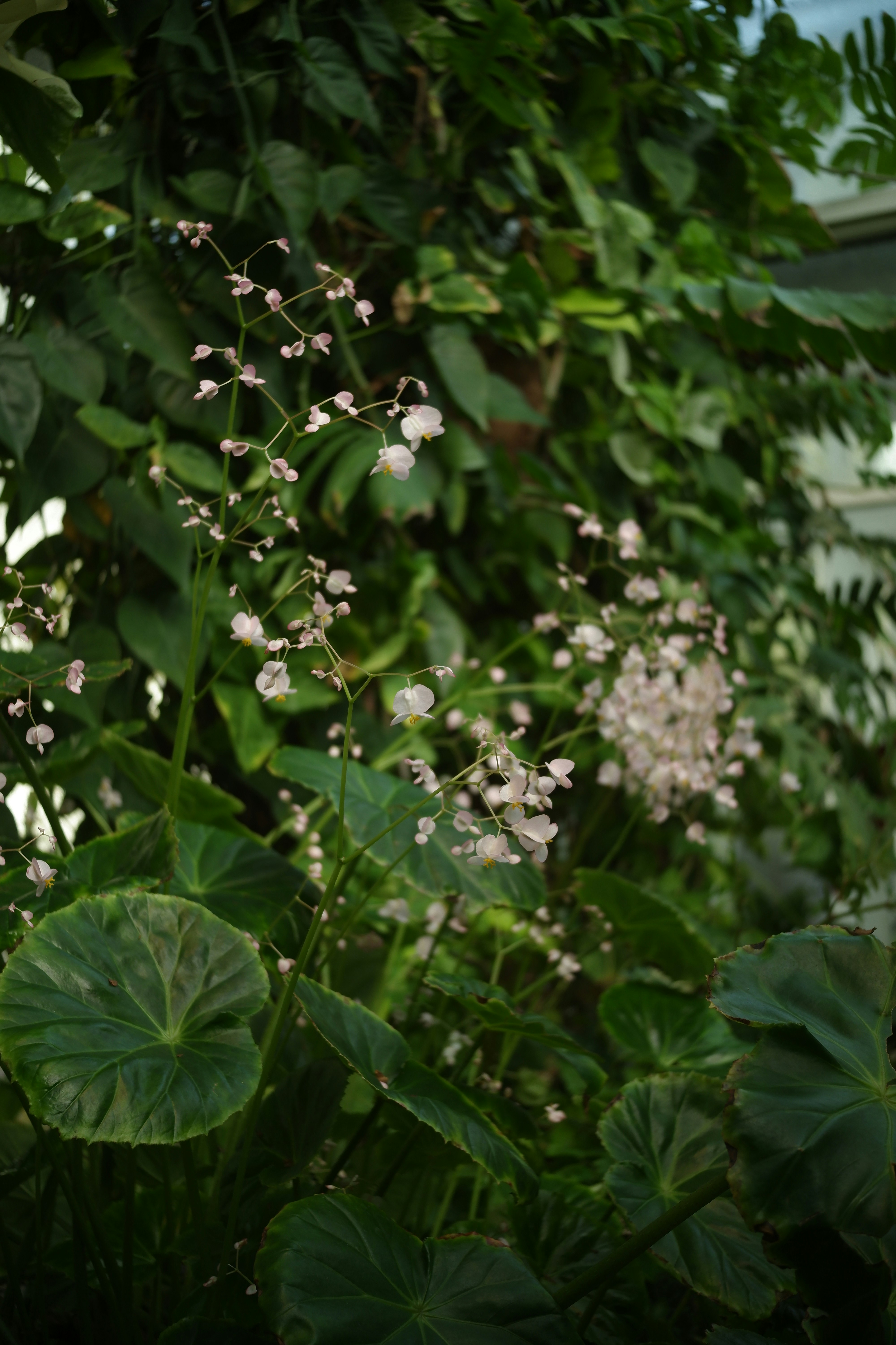 Photo by danielamuntyan