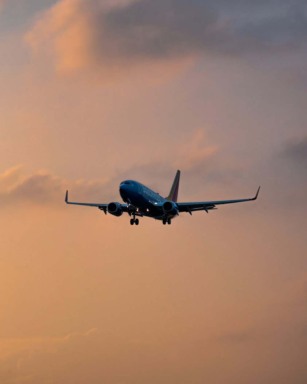 a large jetliner flying through a cloudy sky