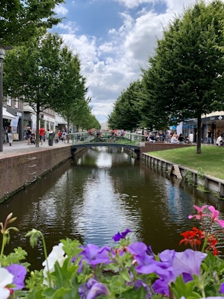 A peaceful view of the ecological canal with vibrant flowers and calm water reflecting the sky