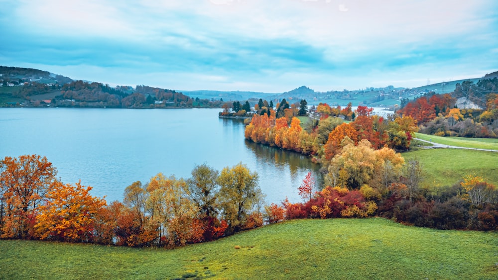 a large body of water surrounded by trees