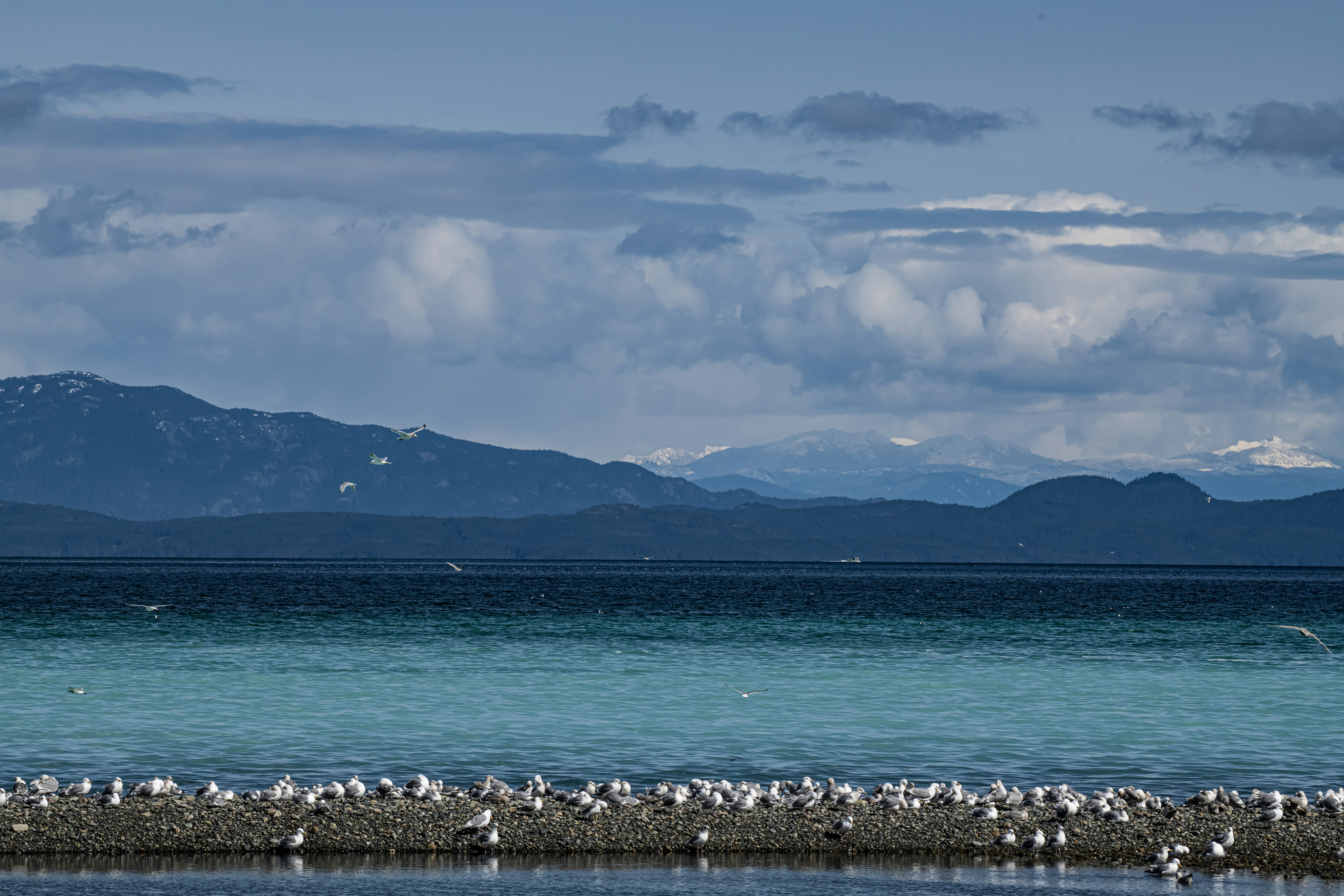 Photo by pennell_zack