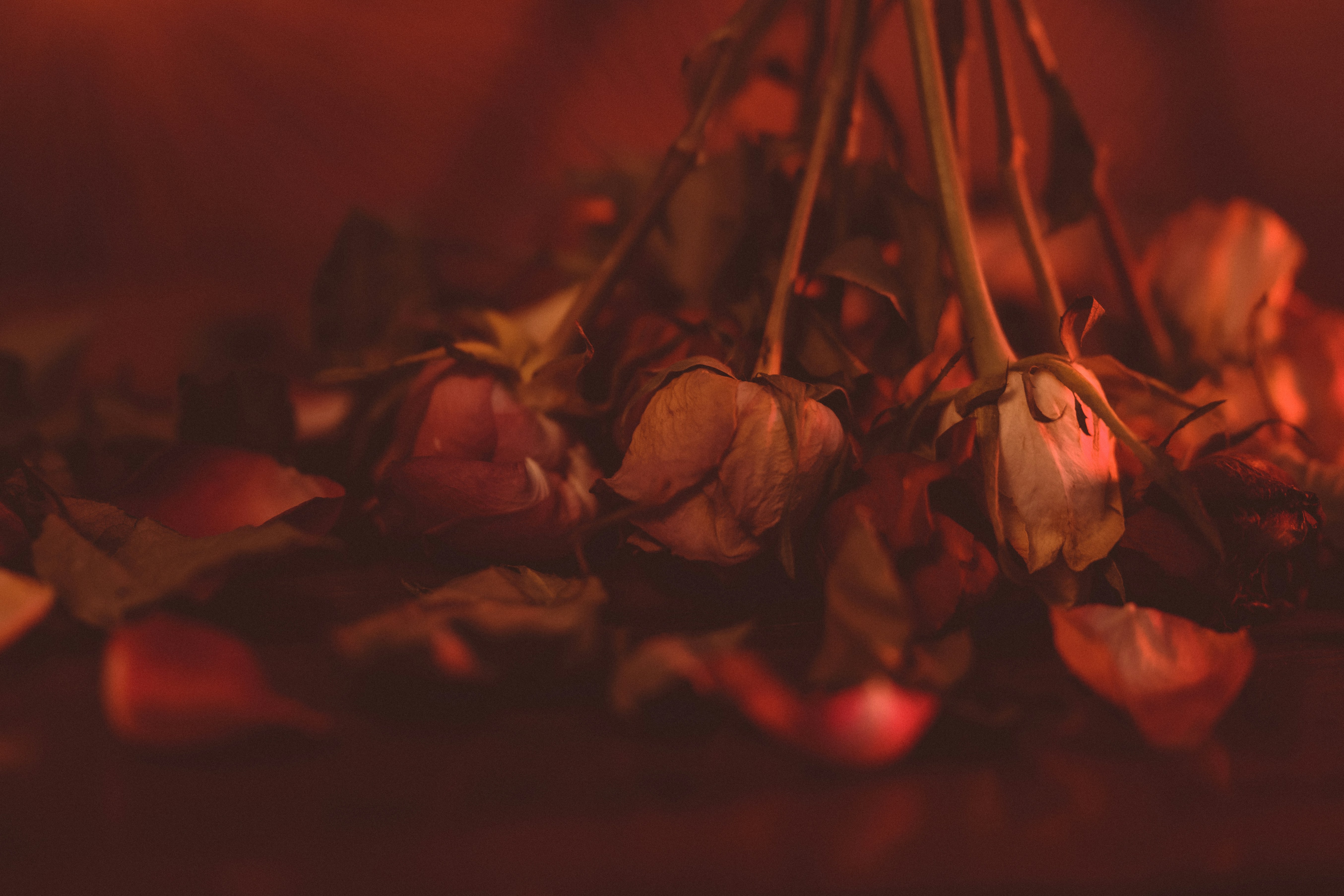 a pile of dried flowers sitting on top of a table