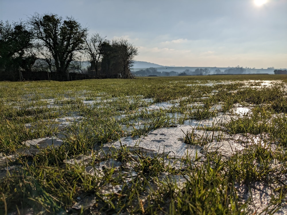 the sun shines on a field of grass and water