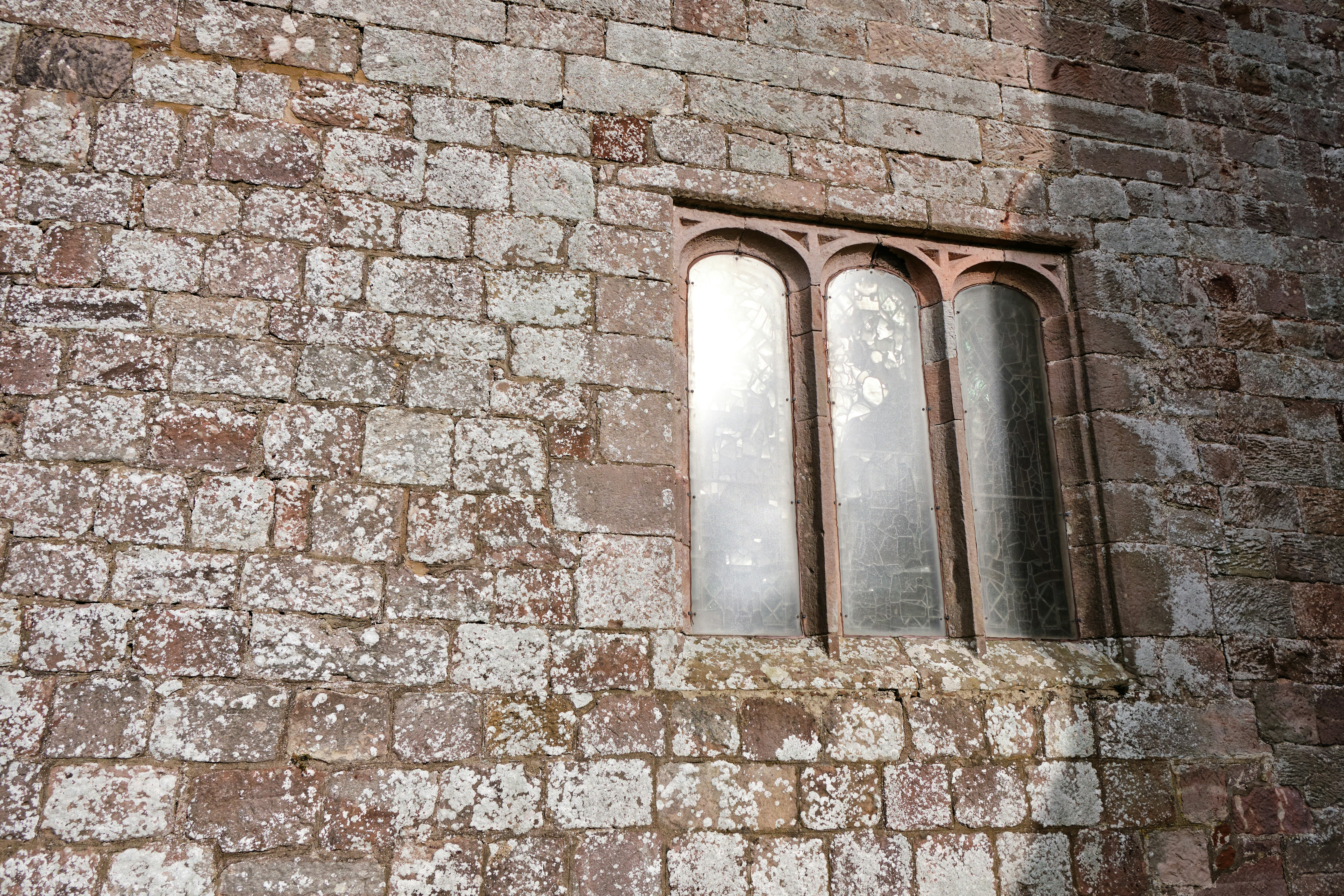 Photo by frostroomhead