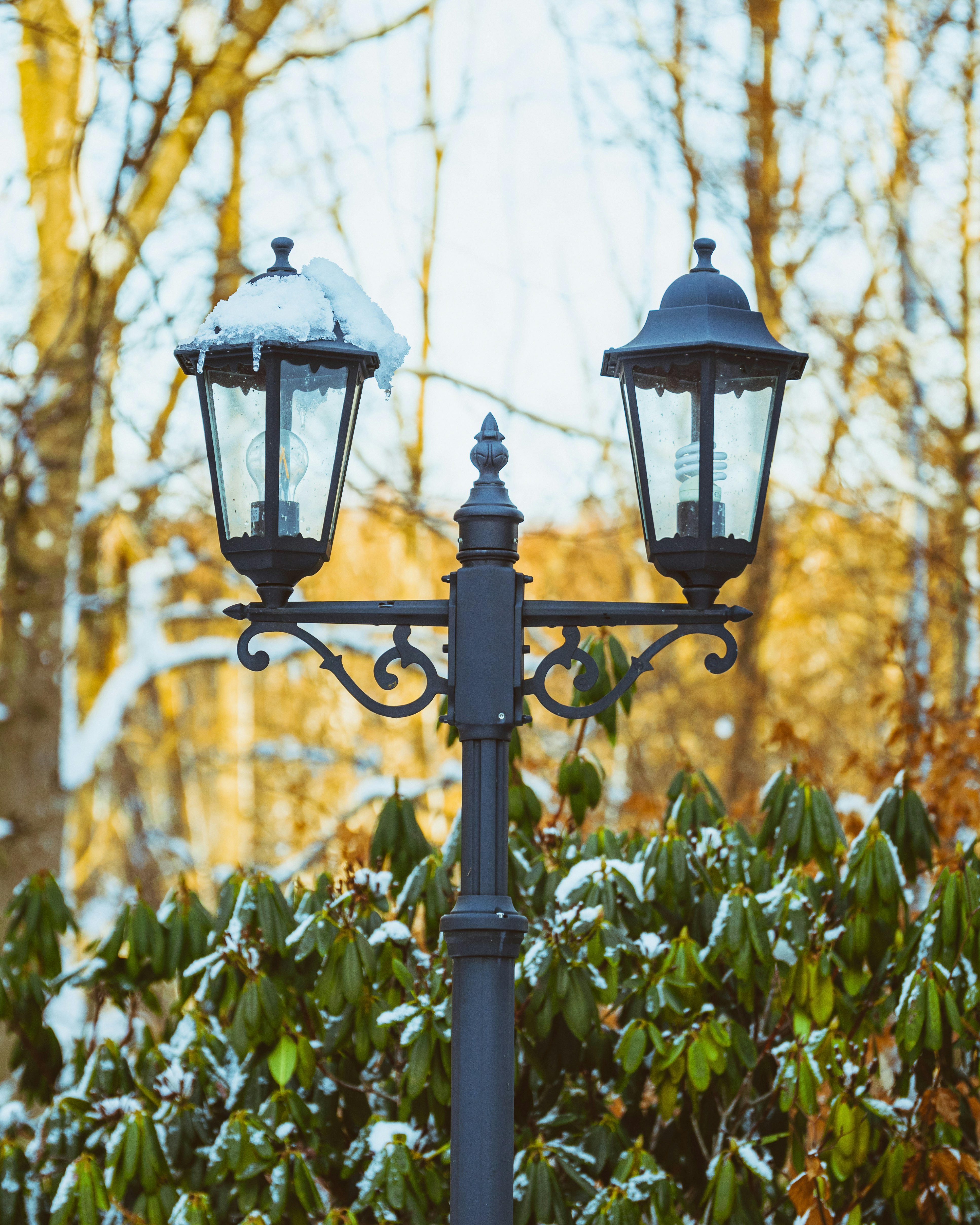 Photo by raedkasrawani